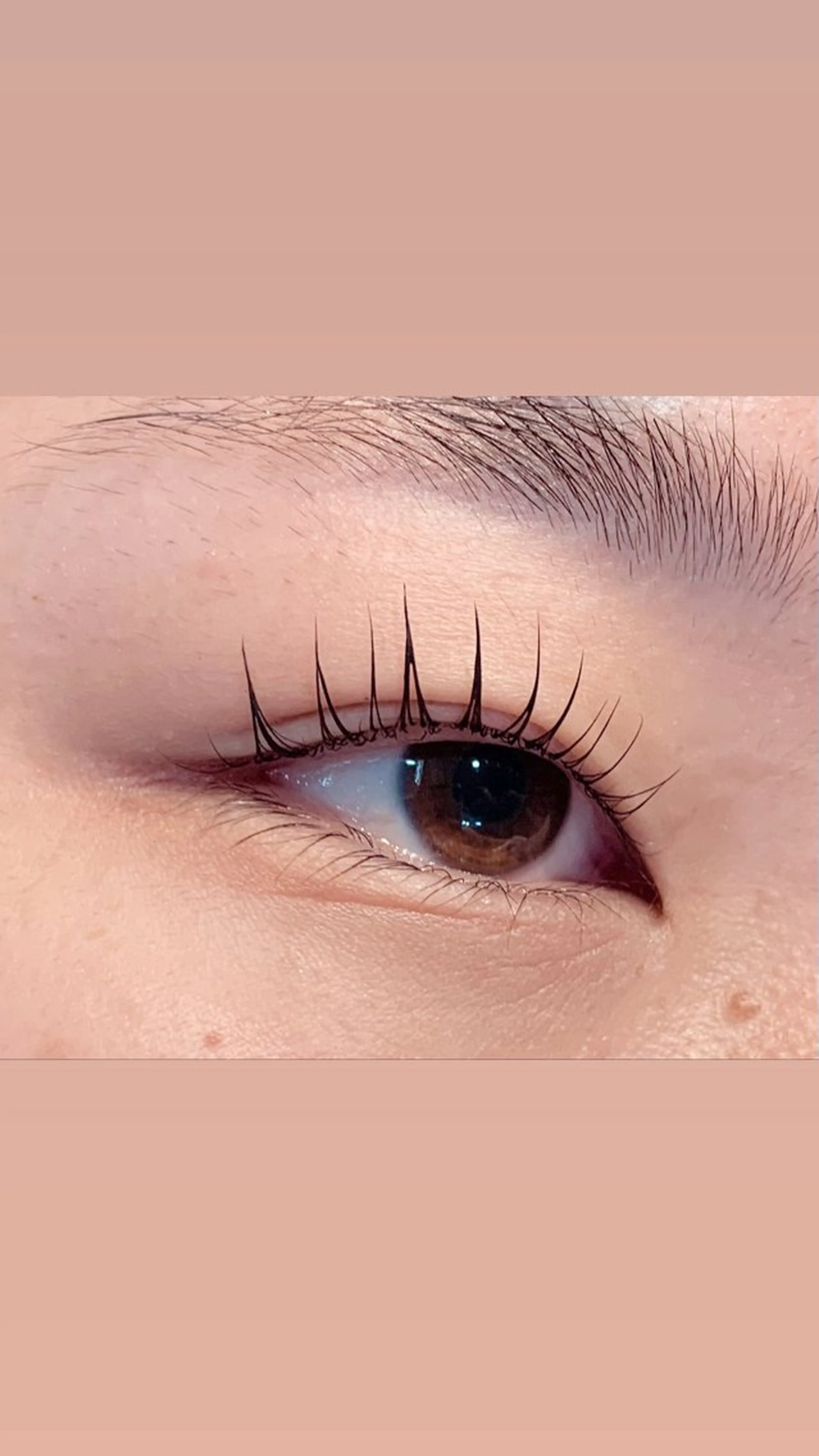 マツエク・マツパ パリジェンヌラッシュリフト hirakawa makoの眉毛・アイブロウイメージ