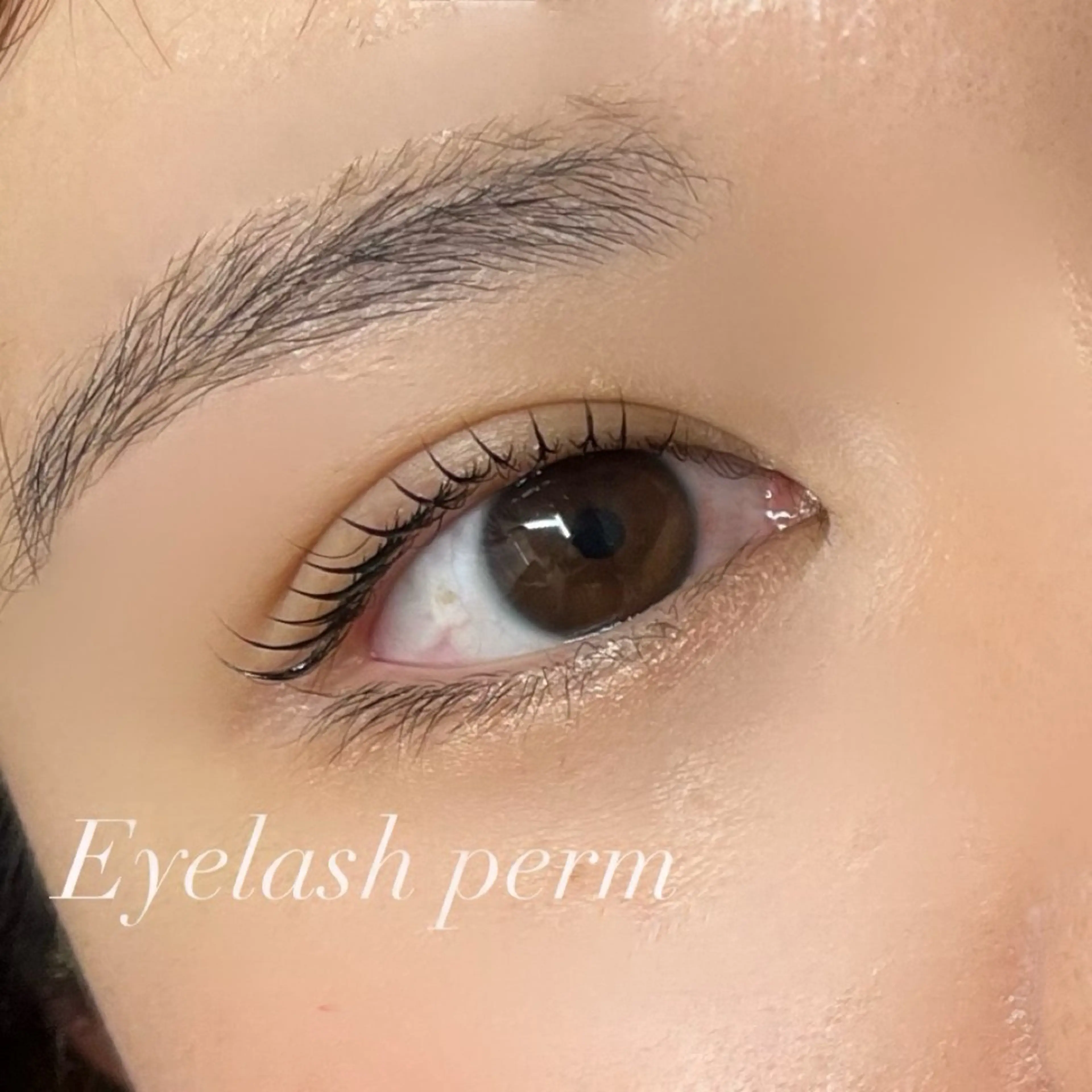 マツエク・マツパ huluhulu Yabumotoのマツエク・マツパデザイン