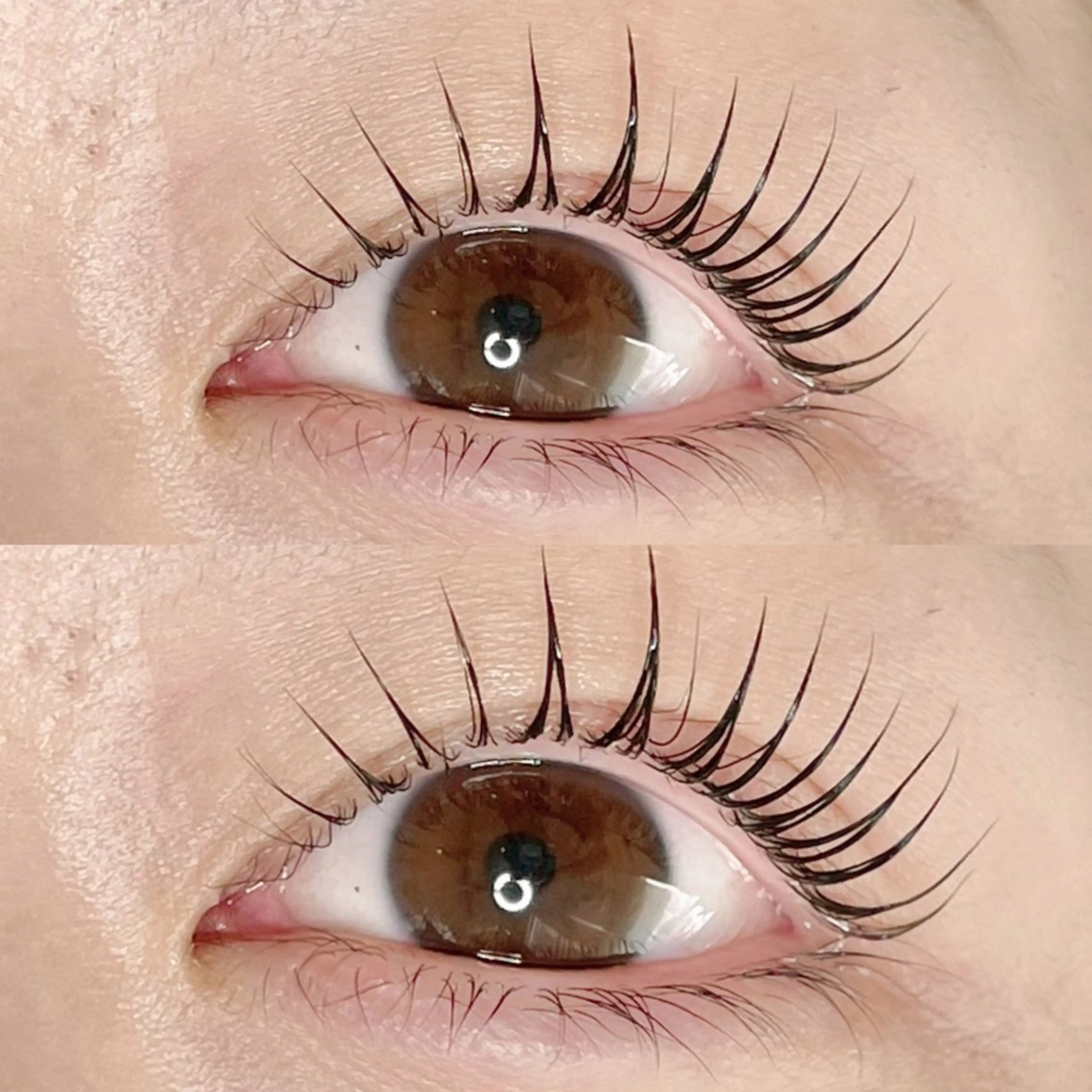 マツエク・マツパ マツパ AYLASH🧡 猪又のマツエク・マツパデザイン