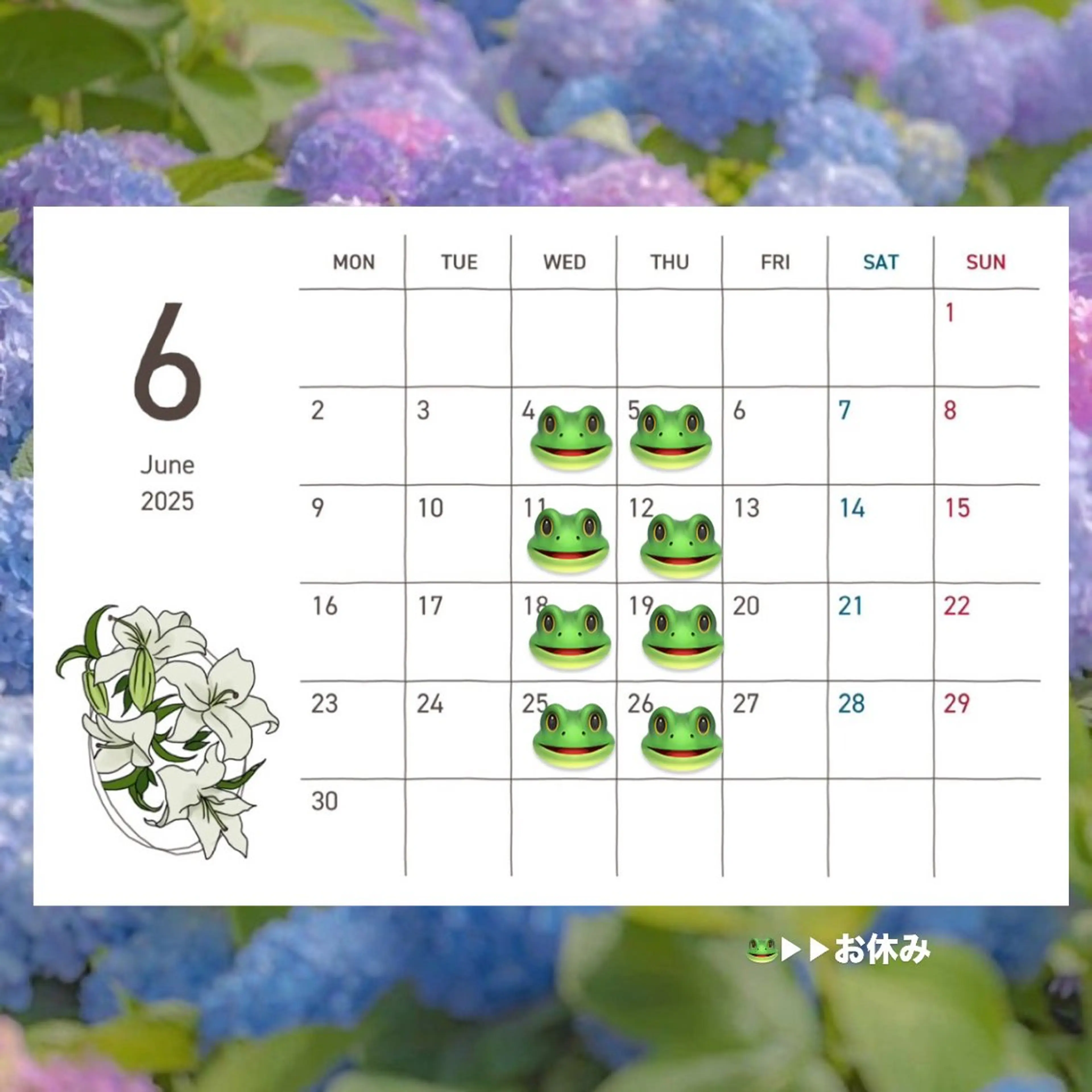 マツエク・マツパ crevia所属・Crevia Chieのマツエク・マツパデザイン