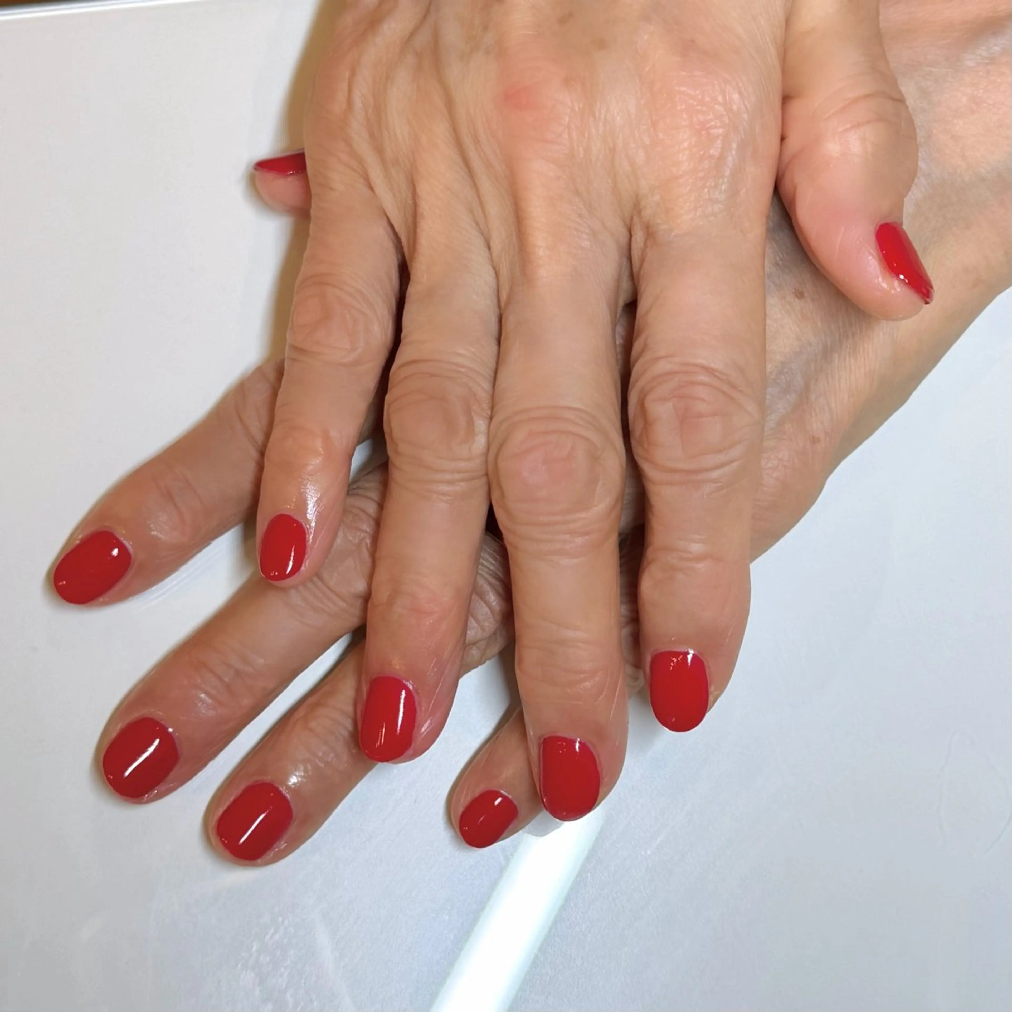 【オフなし】ワンカラーの写真