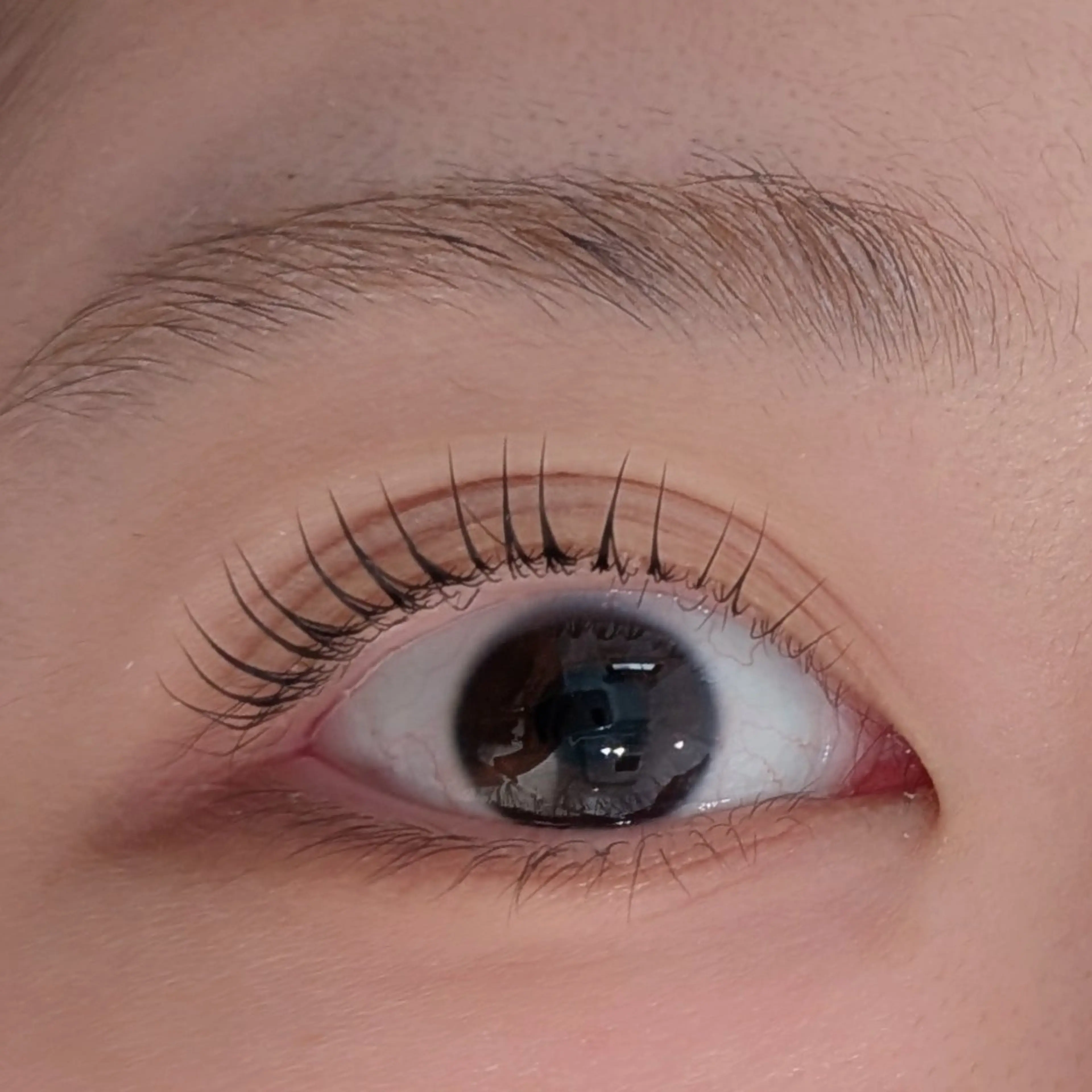 マツエク・マツパ COCO所属・✨白井駅✨COCO 🧡9月予約解放🧡のマツエク・マツパデザイン