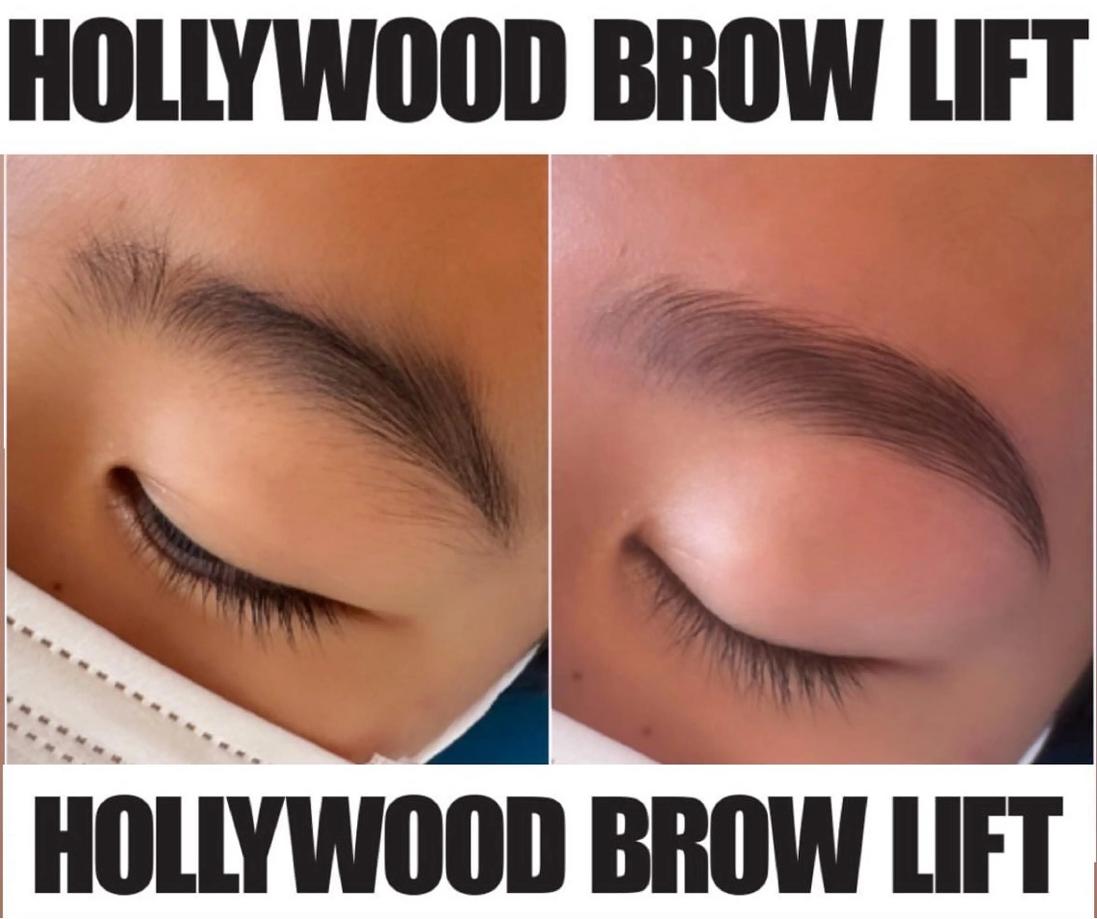 𝐇𝐎𝐋𝐋𝐘𝐖𝐎𝐎𝐃 𝐁𝐑𝐎𝐖 𝐋𝐈𝐅𝐓®の写真