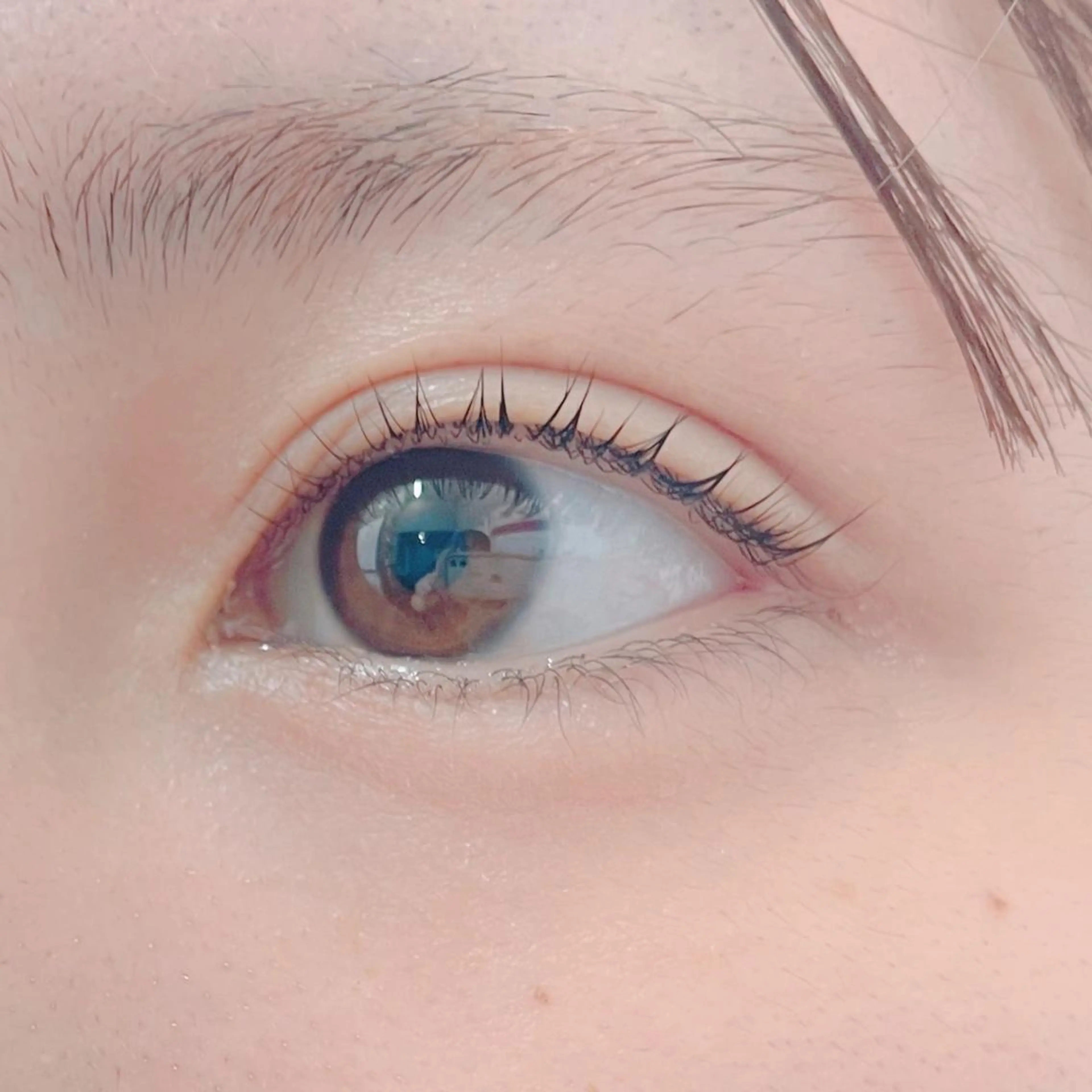 マツエク・マツパ マツパ blanca🌺 mayu(東白楽)のマツエク・マツパデザイン