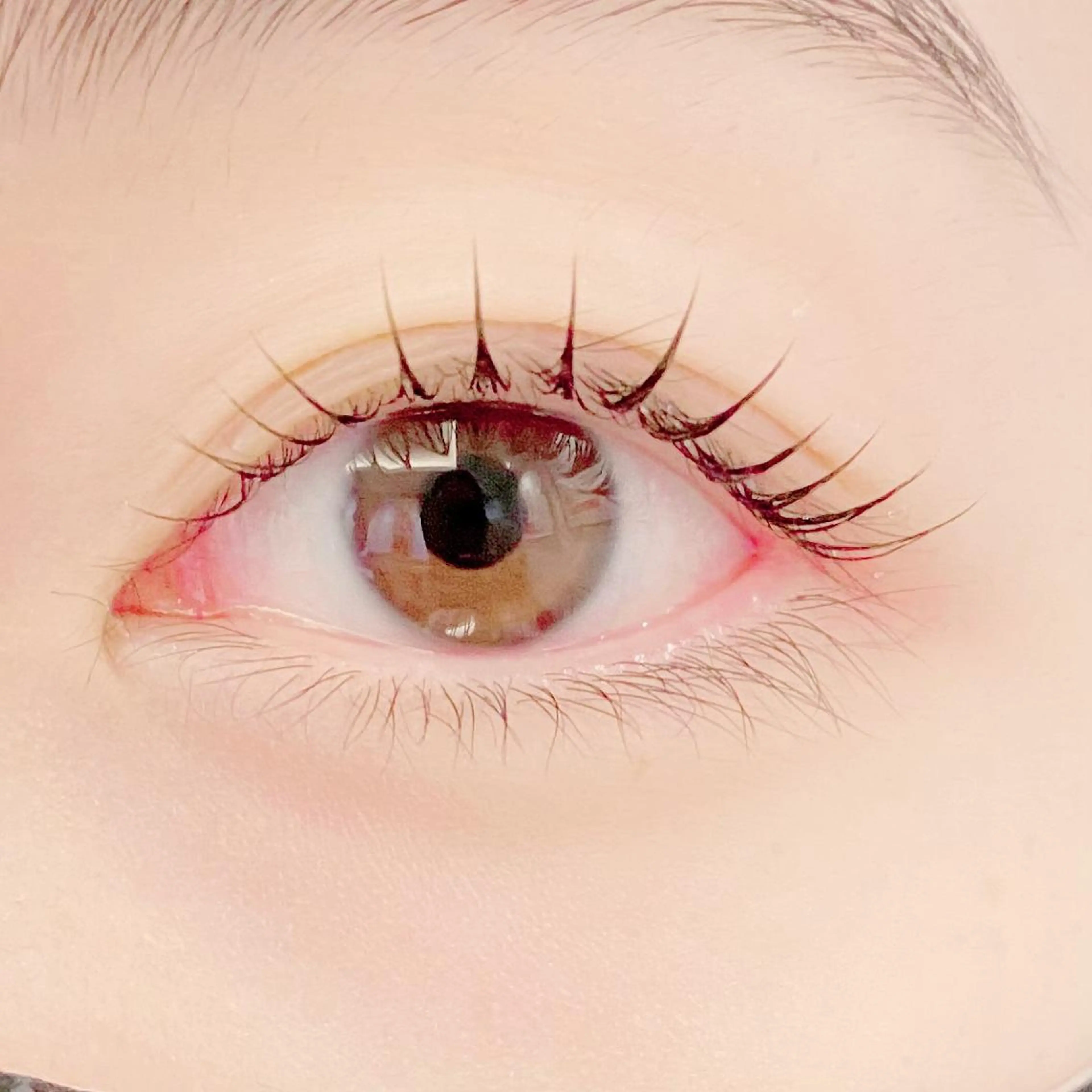 平日限定価格【上下まつ毛パーマ】　¥7,700の写真