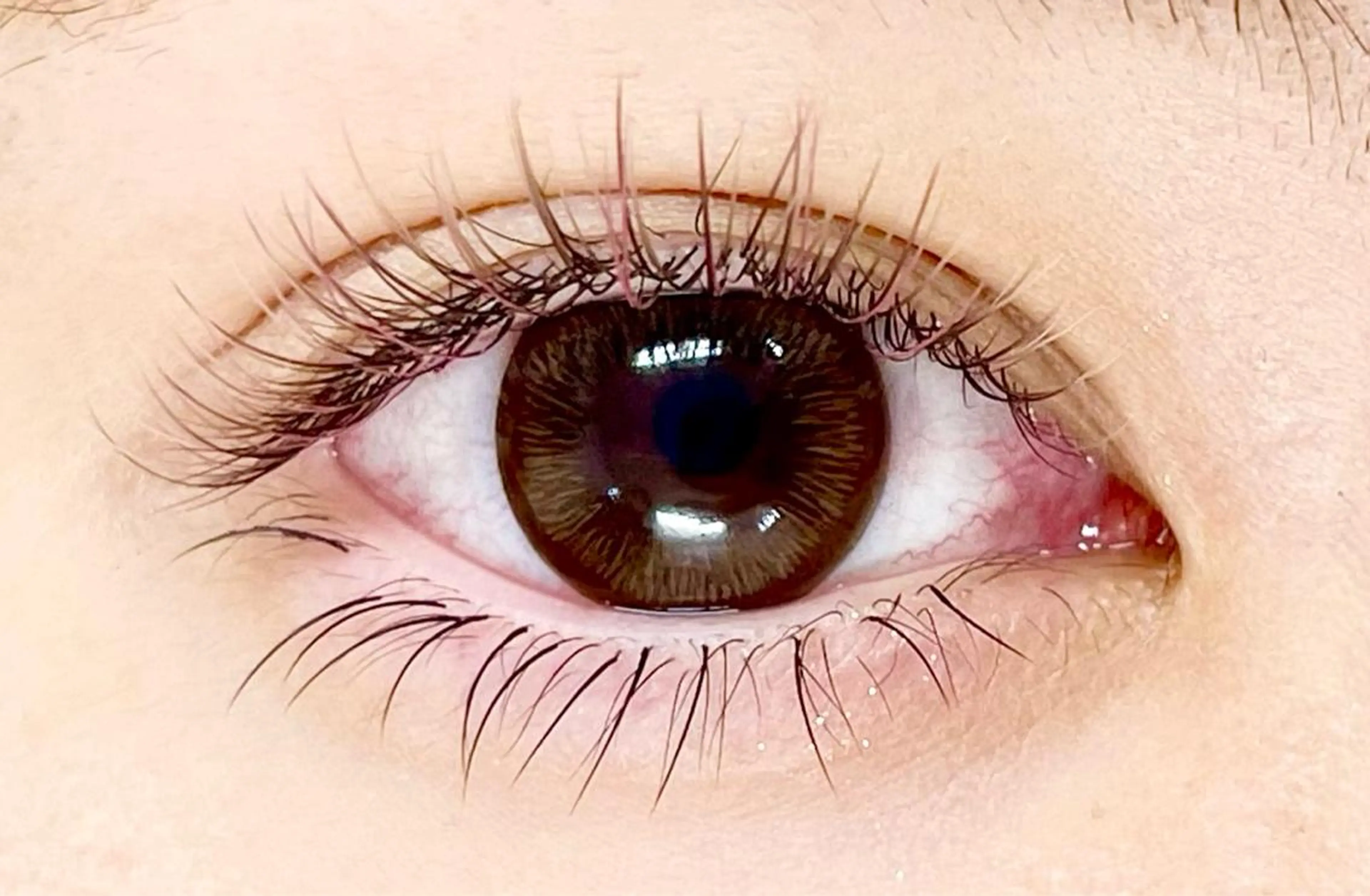 マツエク・マツパ ノルン海老名所属・Norn海老名 KOJIMAのマツエク・マツパデザイン