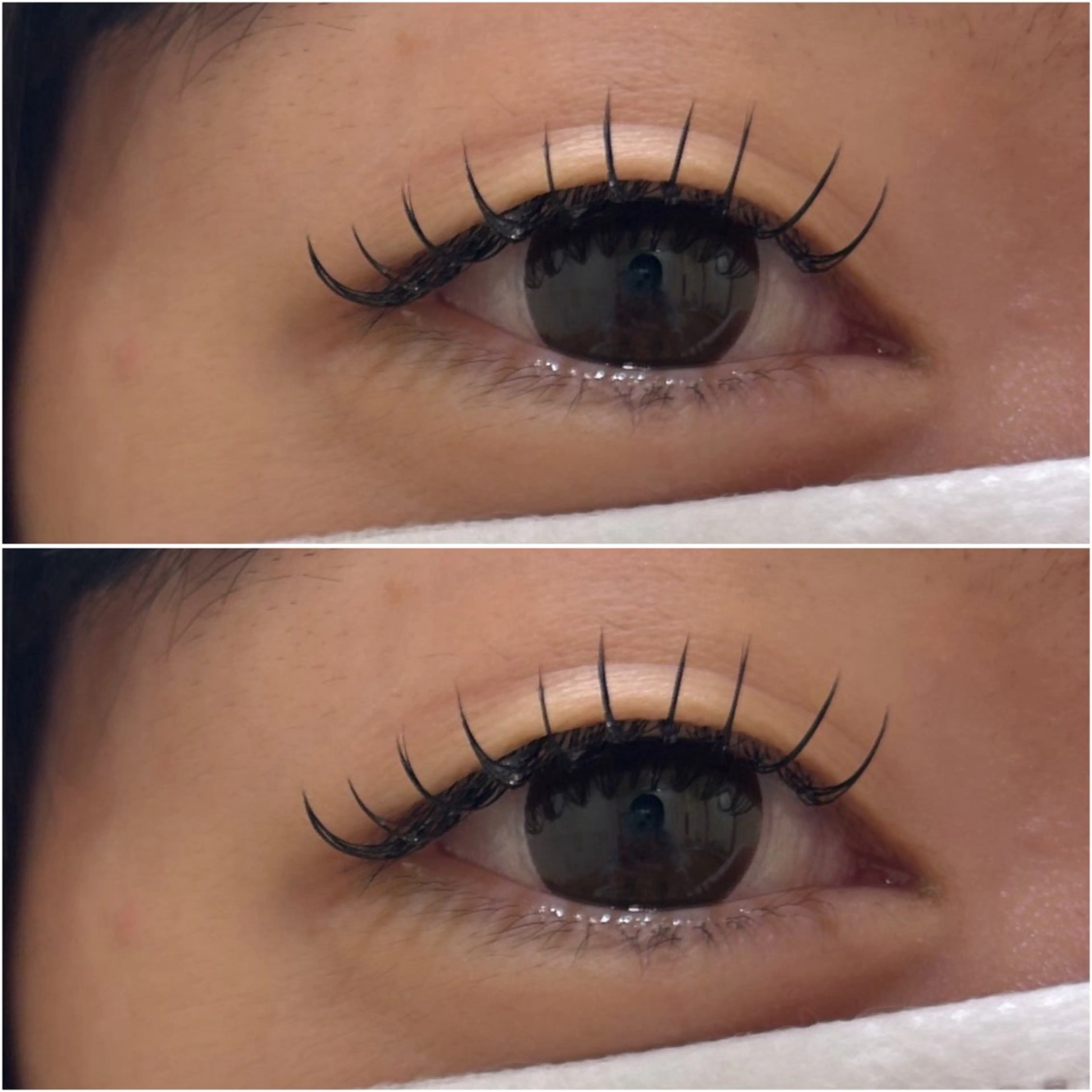 マツエク・マツパ 束感まつ毛 CCカール Cカール フラットラッシュ マツエク muk.eyelush所属・muk. KASUMI🦋のマツエク・マツパデザイン