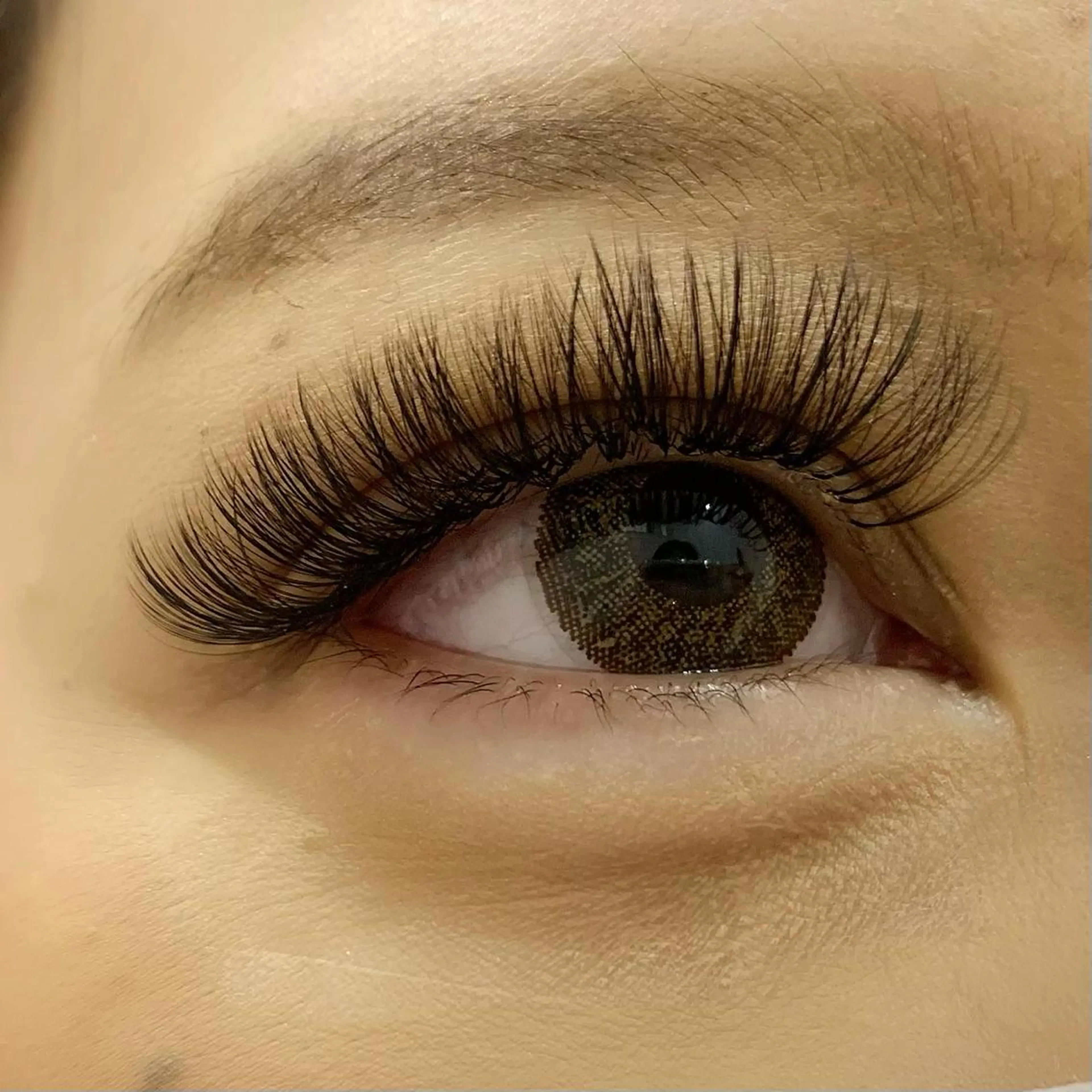 マツエク・マツパ ボリュームラッシュ Celeste Venus所属・🧸Celeste Venusのマツエク・マツパデザイン