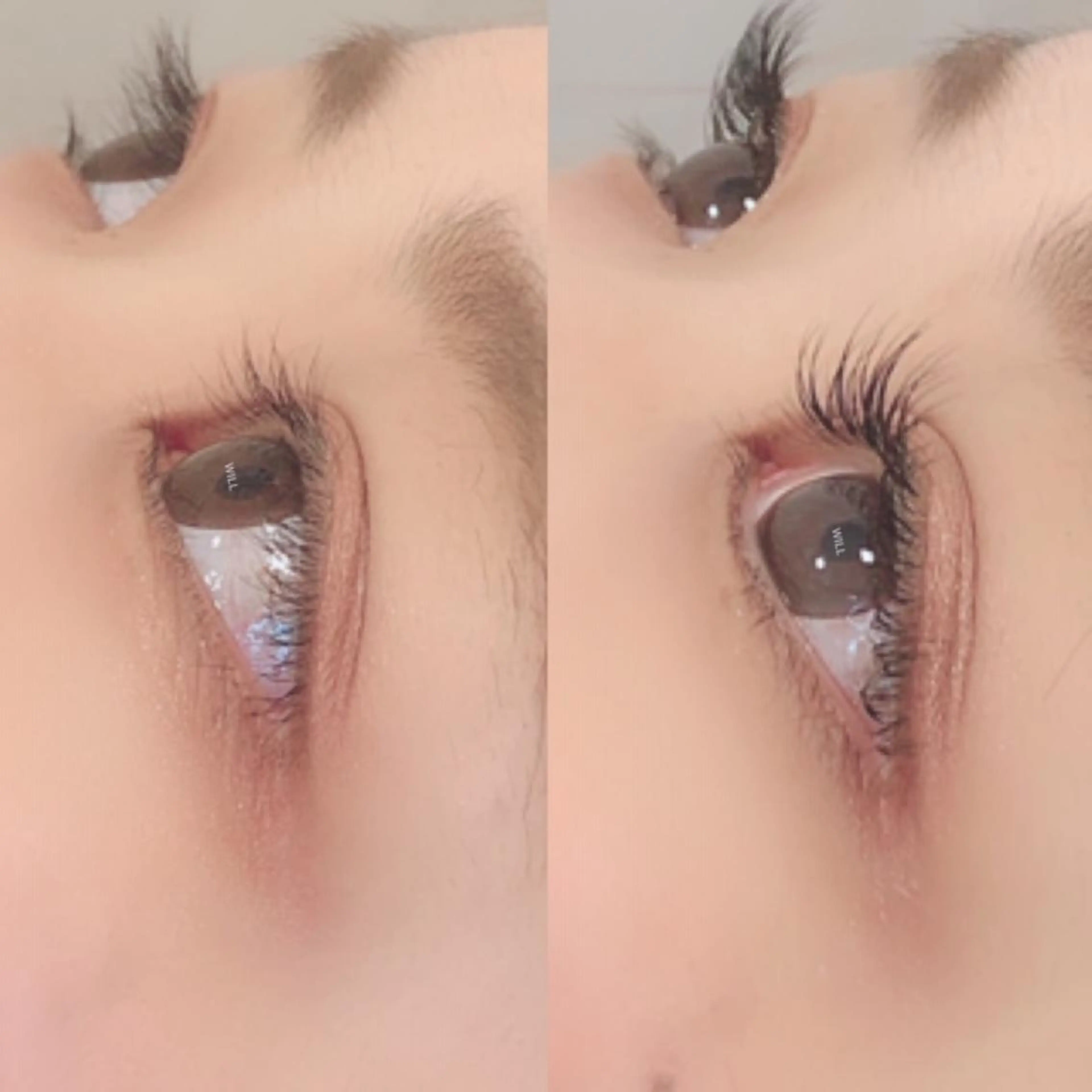 マツエク・マツパ まつげサロンWILL イオン仙台泉大沢店のマツエク・マツパデザイン