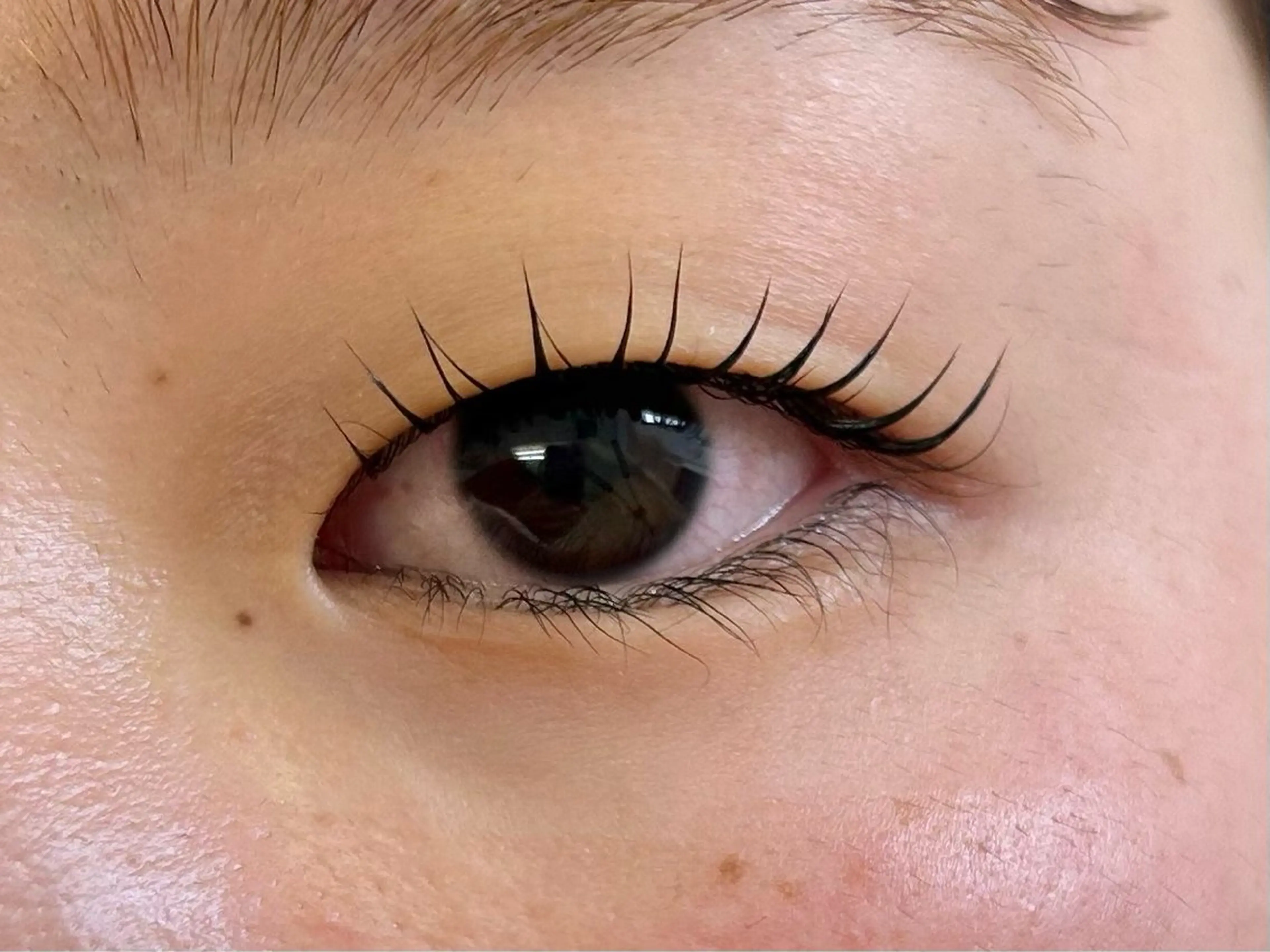 マツエク・マツパ マツパ Miroir Sunadaの眉毛・アイブロウイメージ