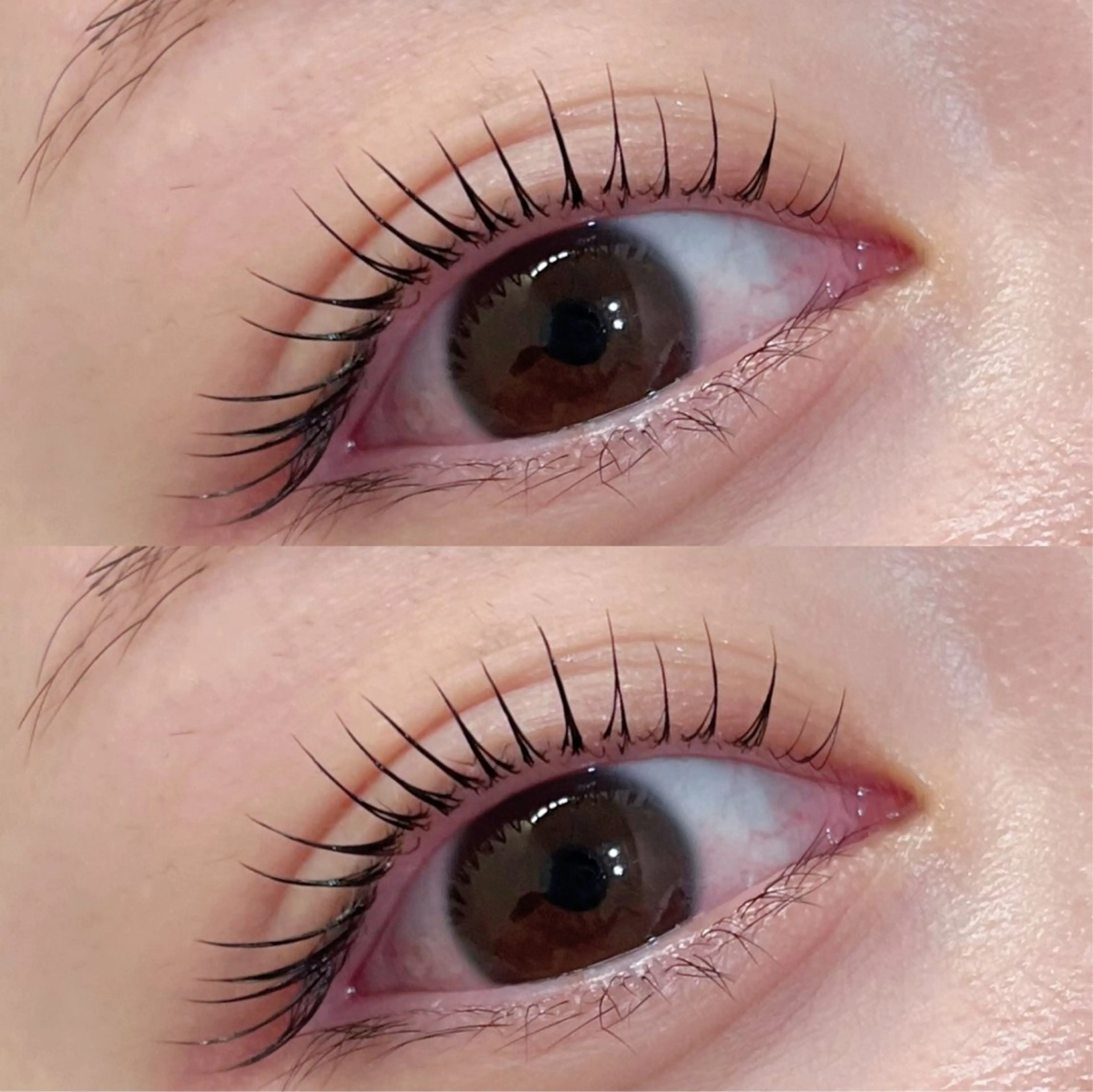 マツエク・マツパ マツパ coco / EYELAのマツエク・マツパデザイン