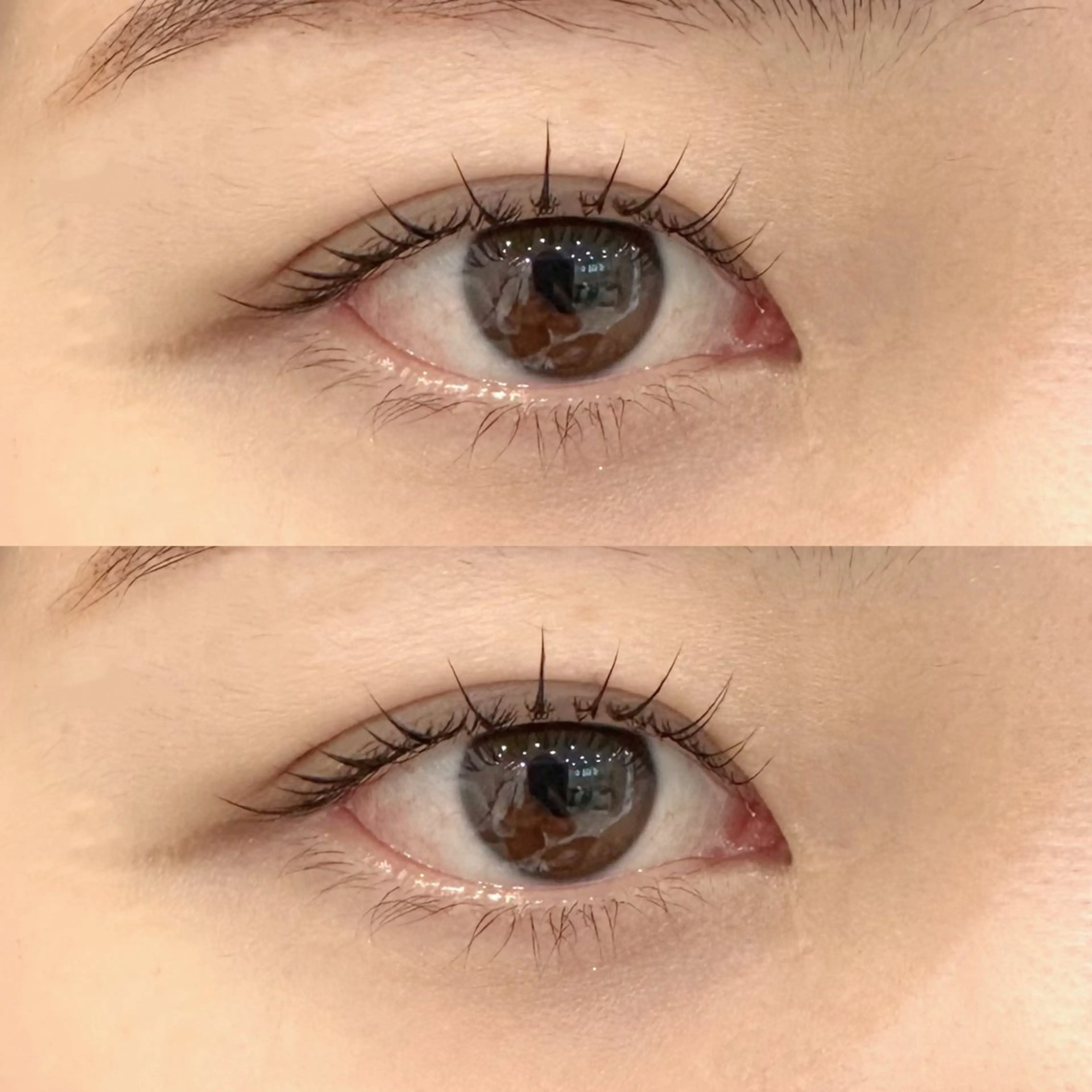 トリートメント付きまつ毛パーマ🦋の写真