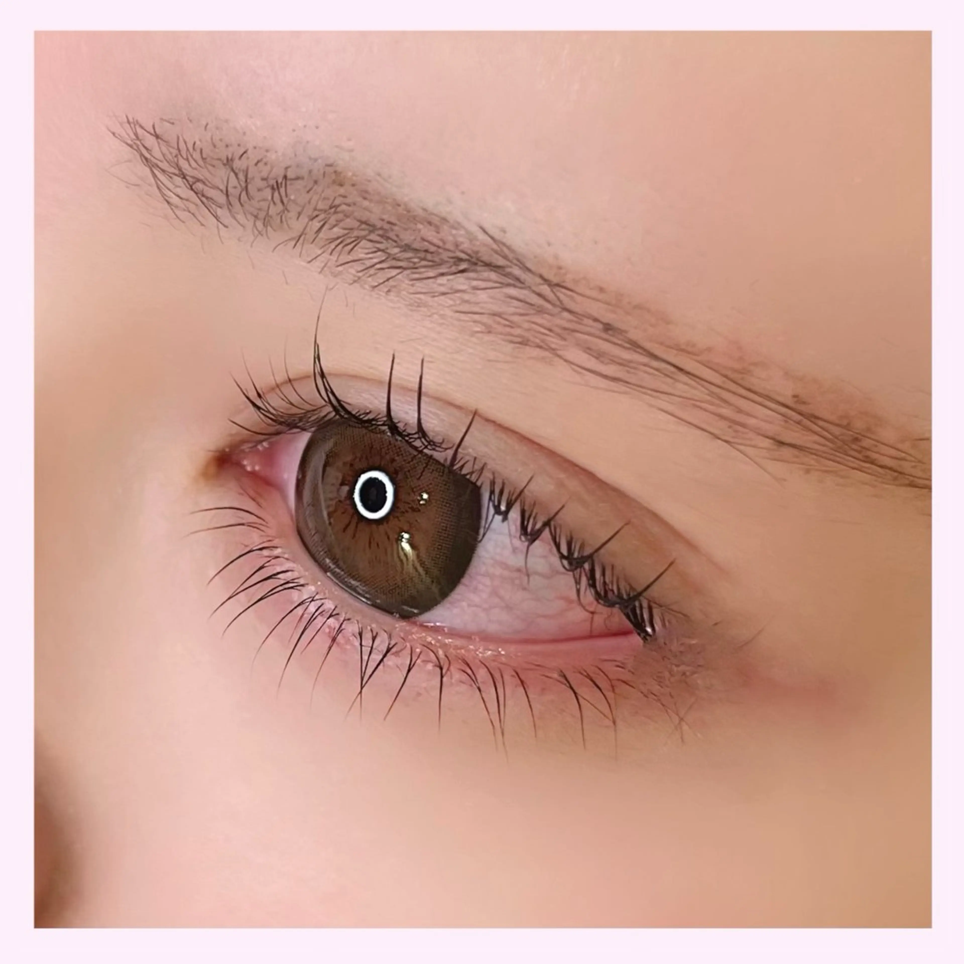 ‎₊˚限定クーポン⟡.·上下まつげパーマ🪽♡の写真