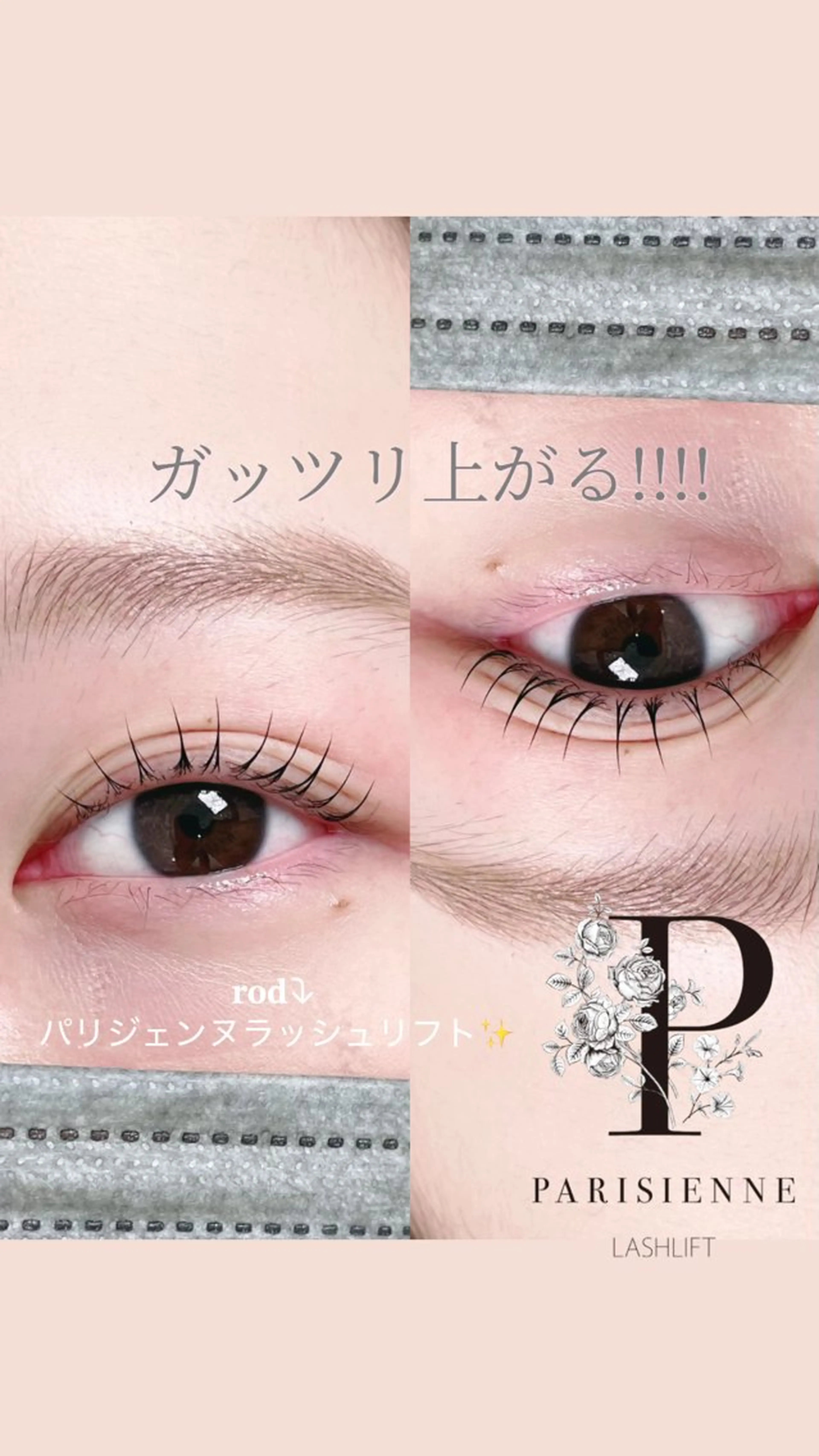 マツエク・マツパ muse momoのマツエク・マツパデザイン