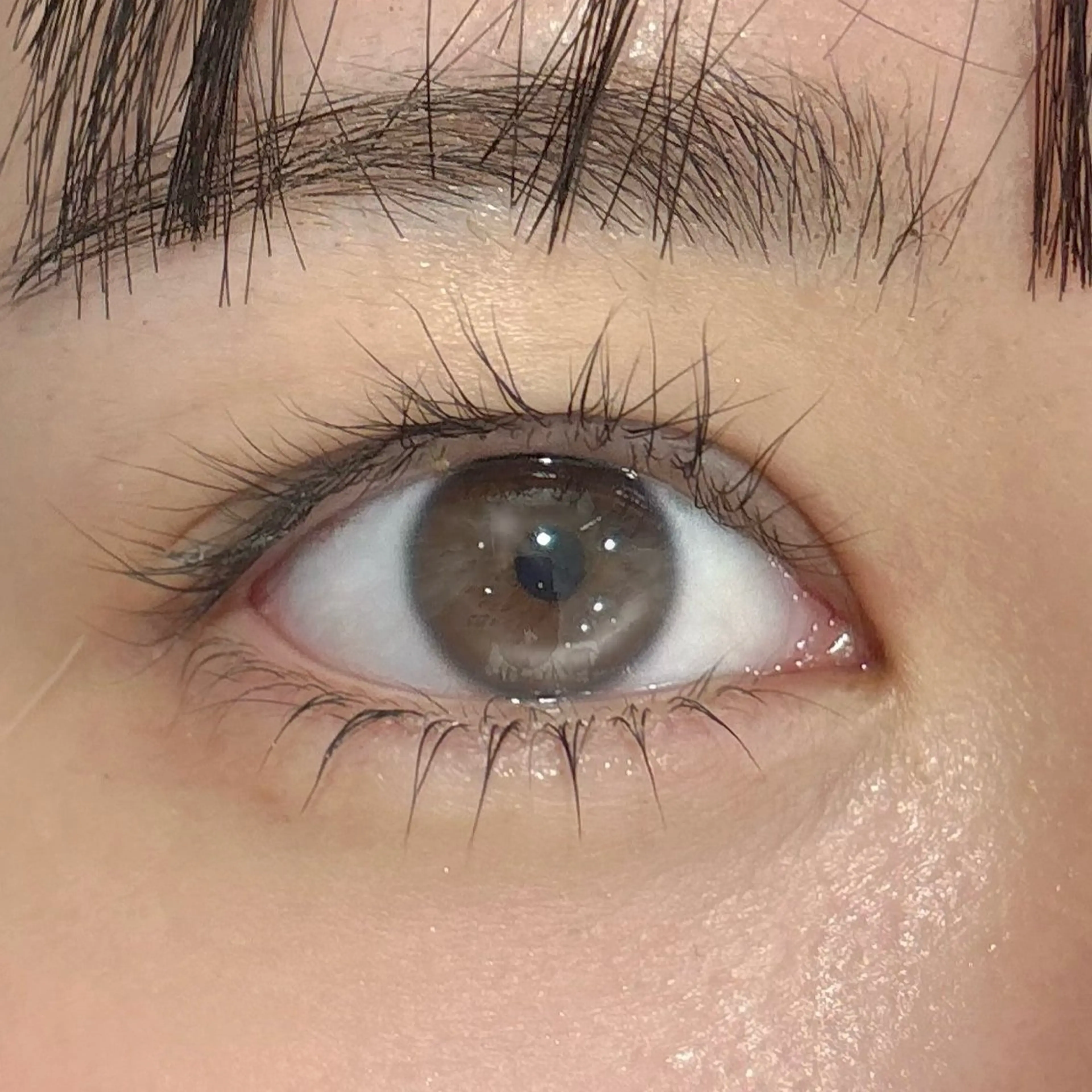 マツエク・マツパ 下まつげエクステ 一重×まつ毛パーマ sofa / Akari🏠のマツエク・マツパデザイン