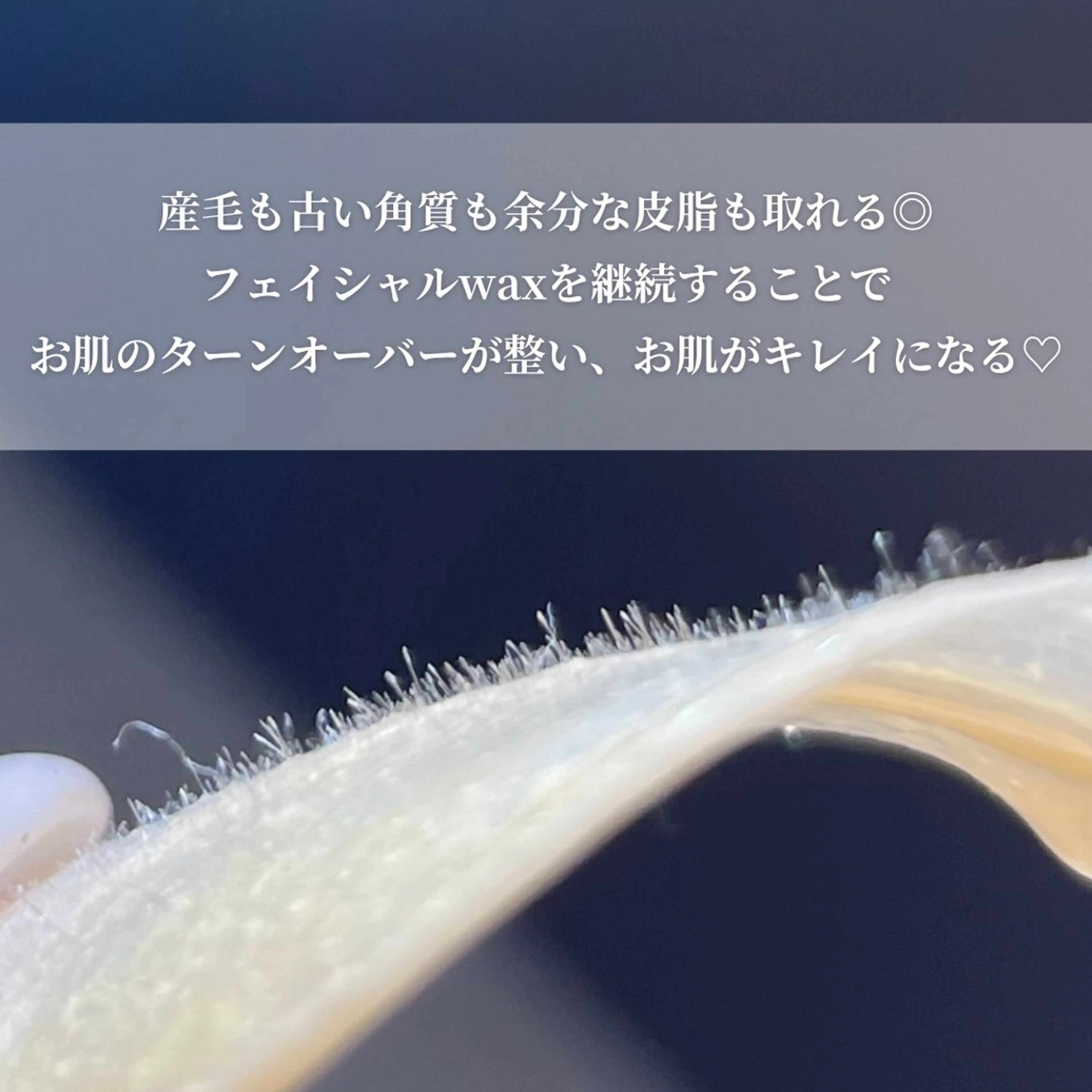 Lassy Yuriの眉毛・アイブロウイメージ