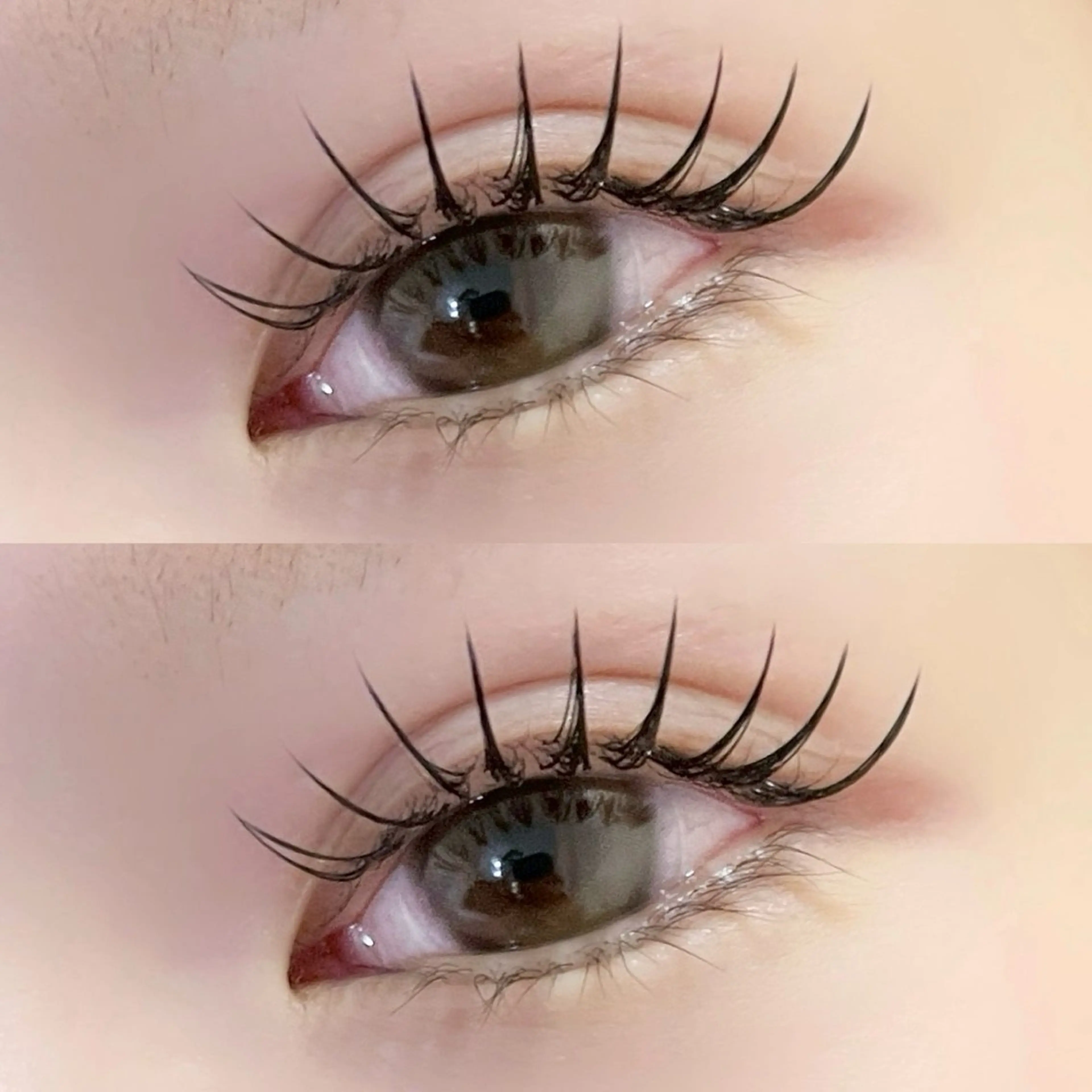 セーブル60本（オフなし）※注意事項をお読みの上でご予約お願い致します。の写真