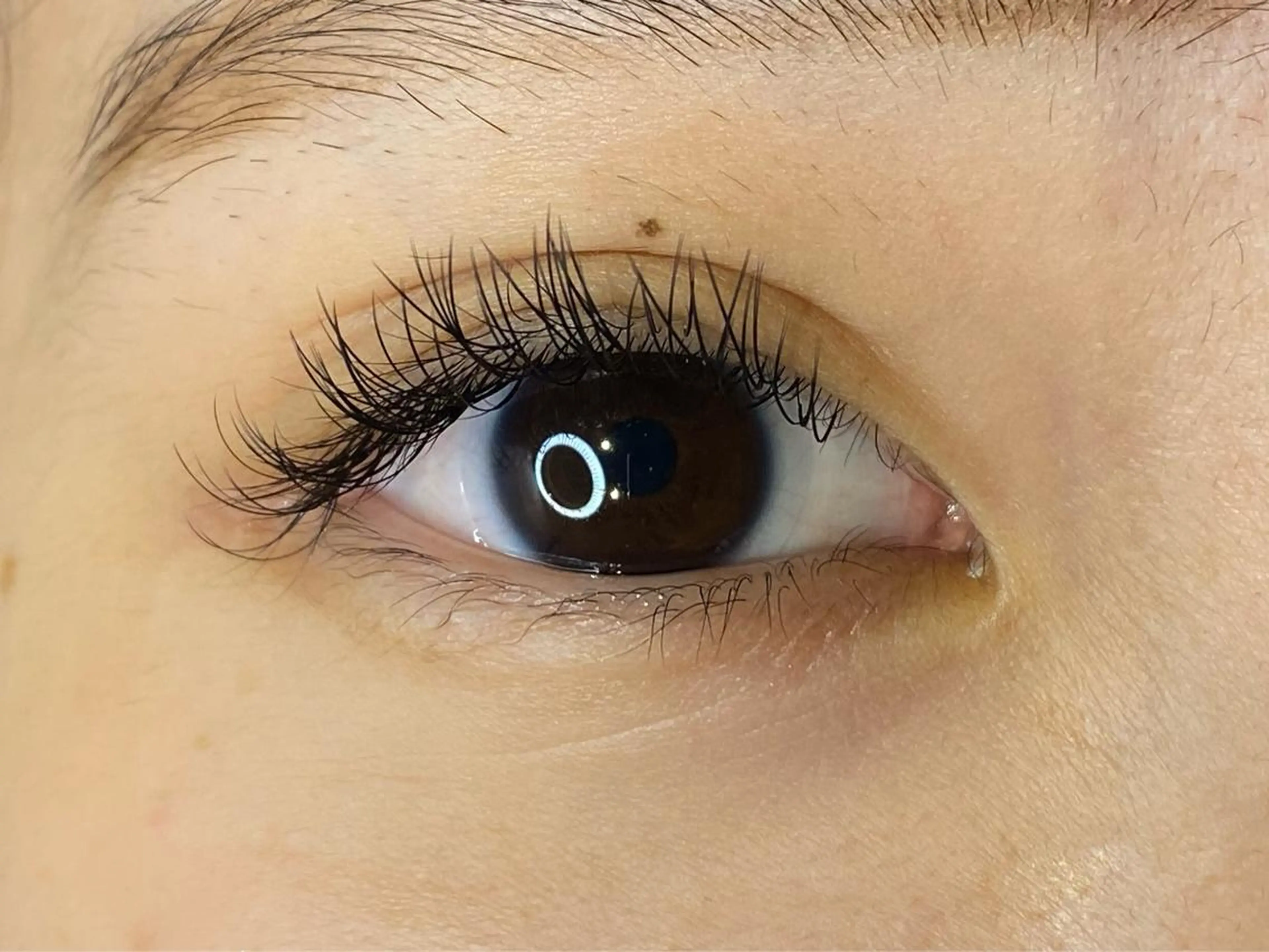 マツエク・マツパ キュート フラットラッシュ マツエク Hazuki .のマツエク・マツパデザイン