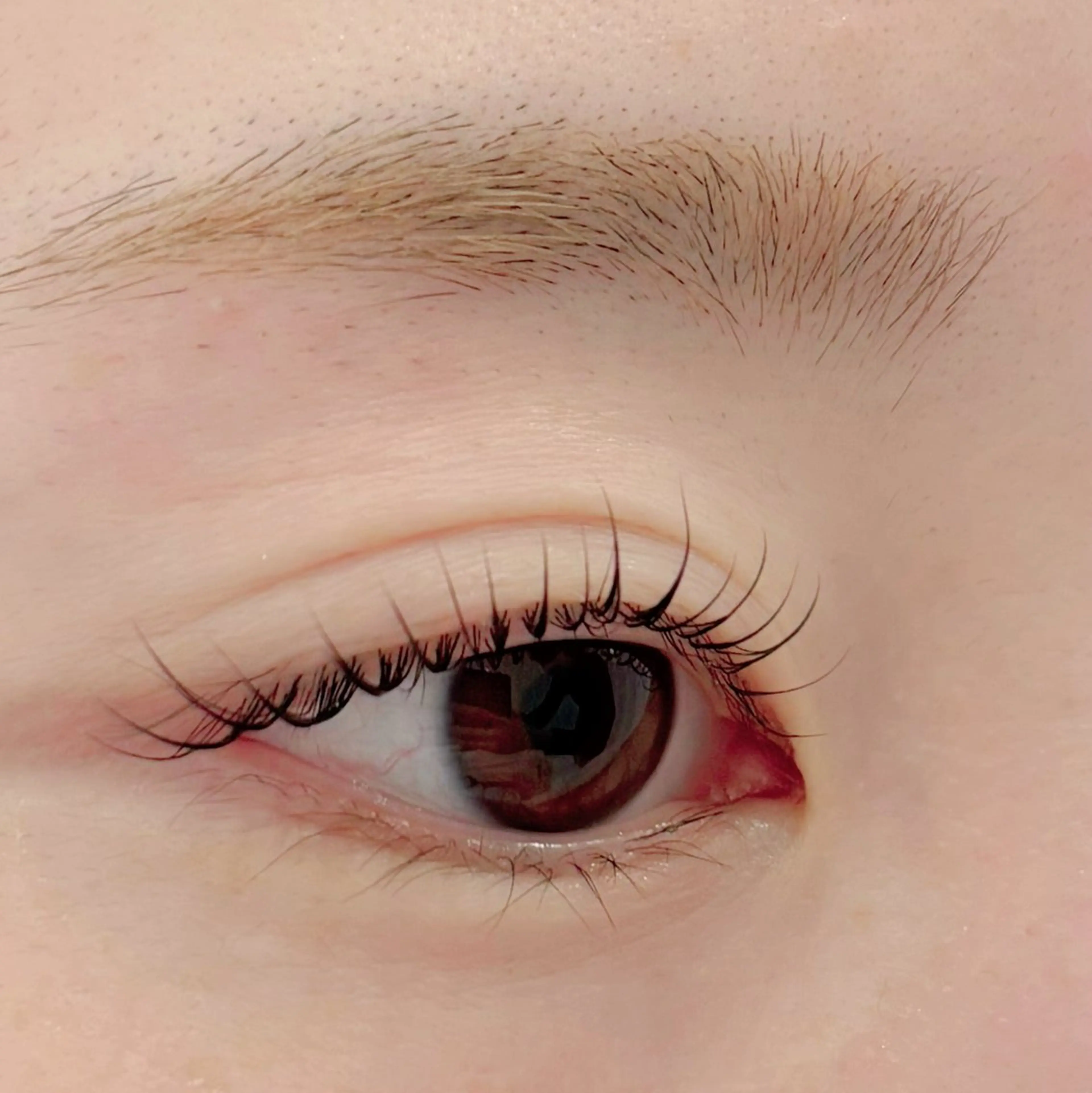 マツエク・マツパ マツパ 🌙Lily 船橋 鈴木のマツエク・マツパデザイン