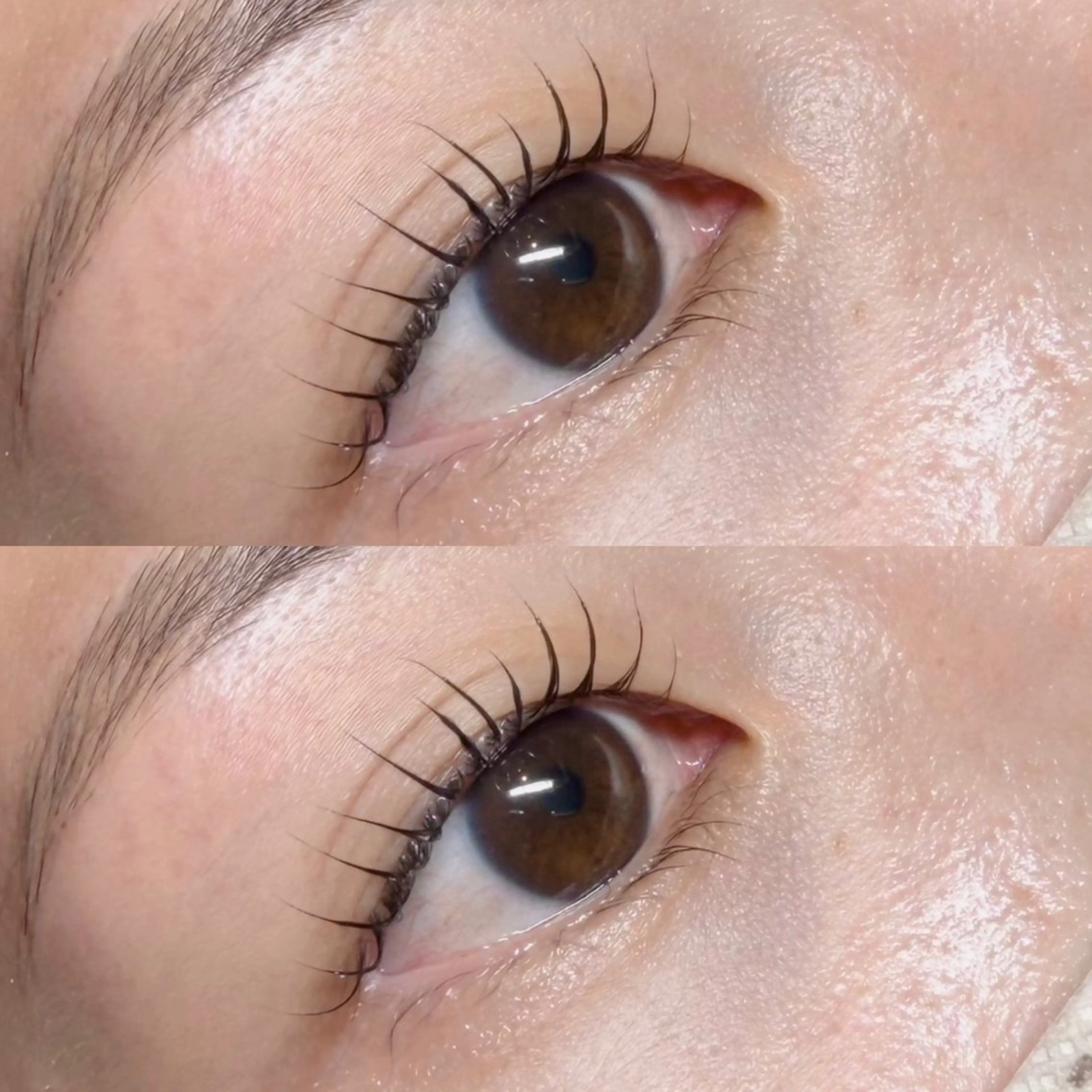 マツエク・マツパ その他 Y.mako‪∗*ﾟ angelicaの眉毛・アイブロウイメージ