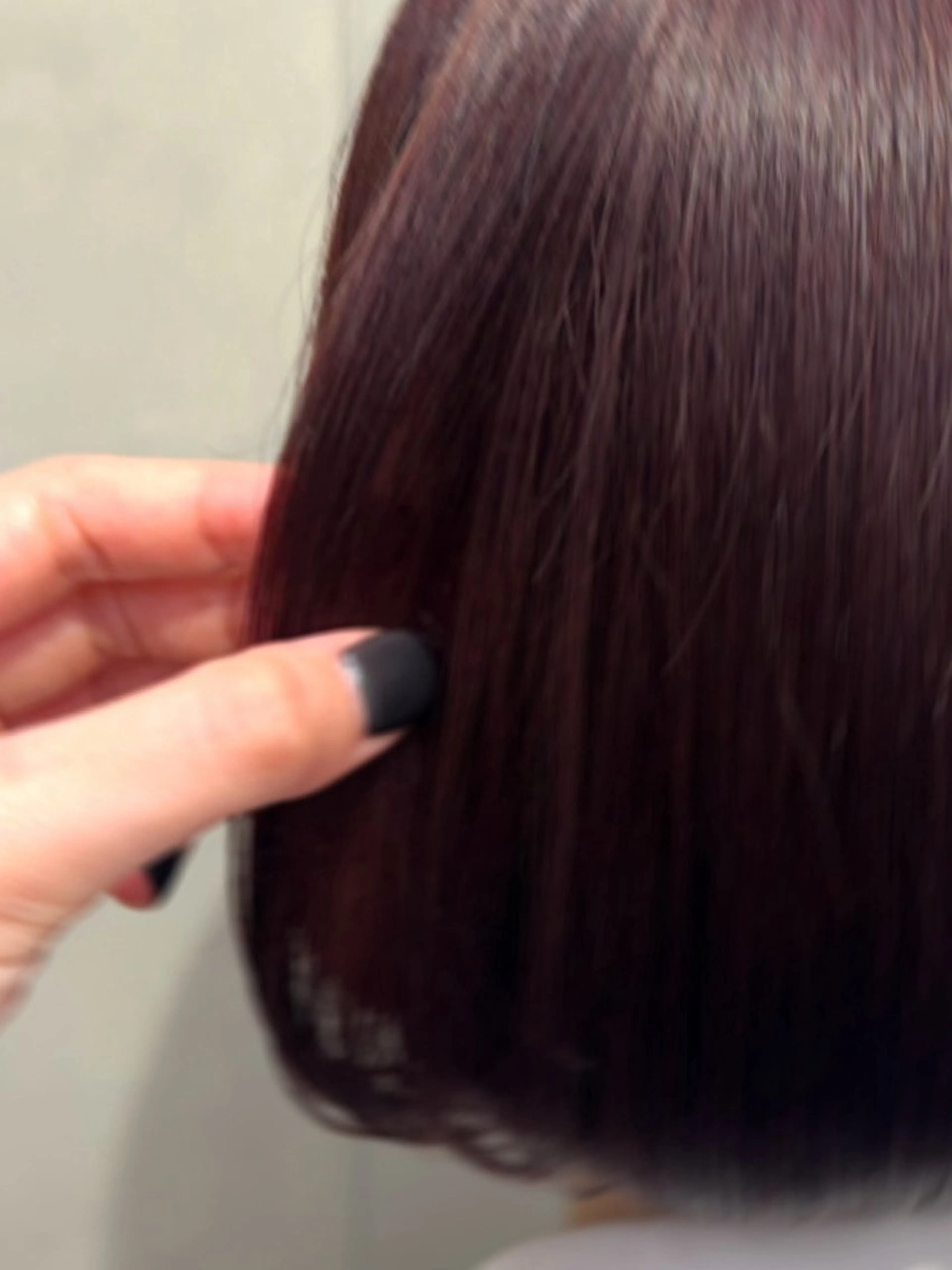 ワンカラーの写真