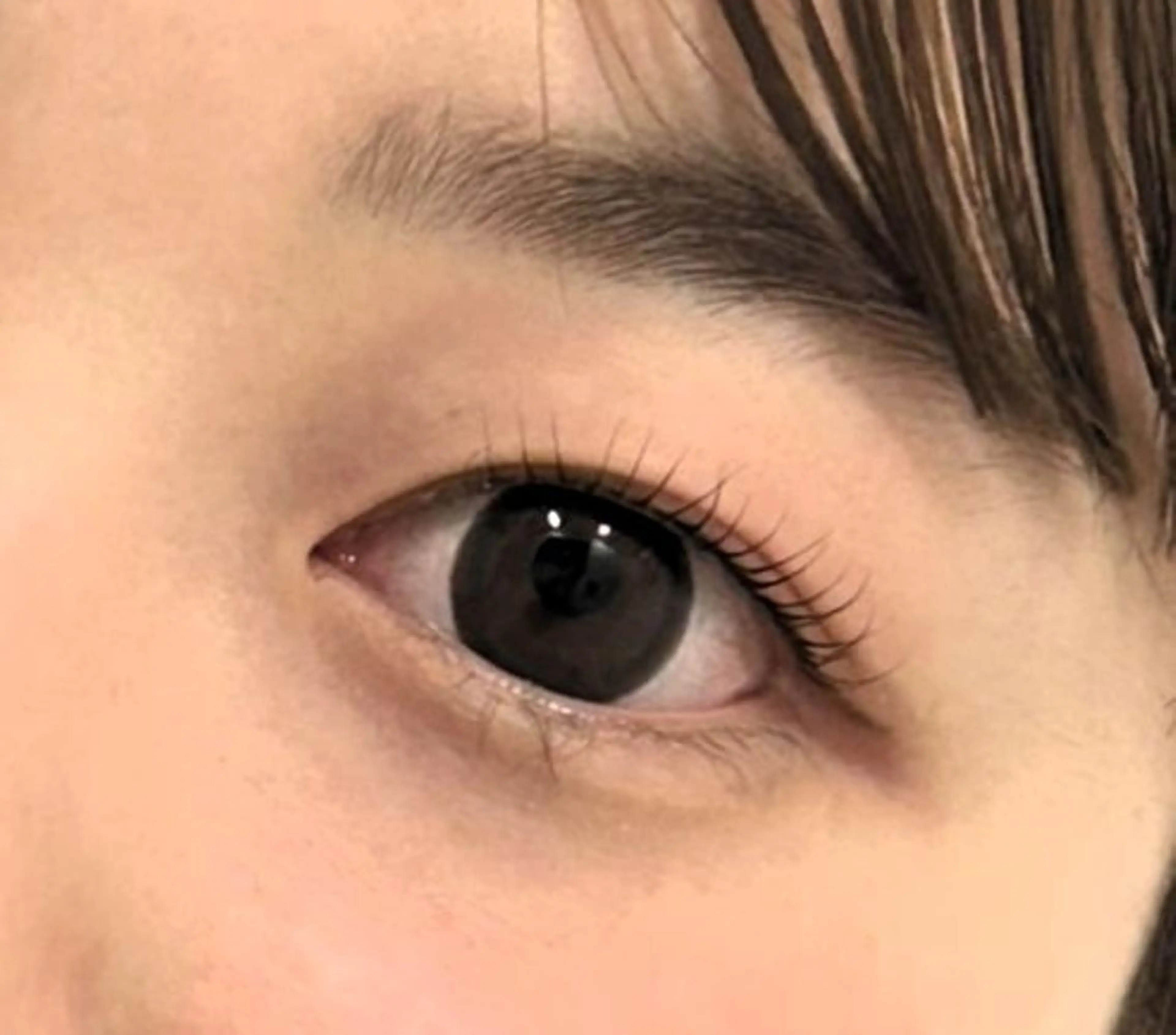 マツエク・マツパ マツパ 【eight】 土橋の眉毛・アイブロウイメージ