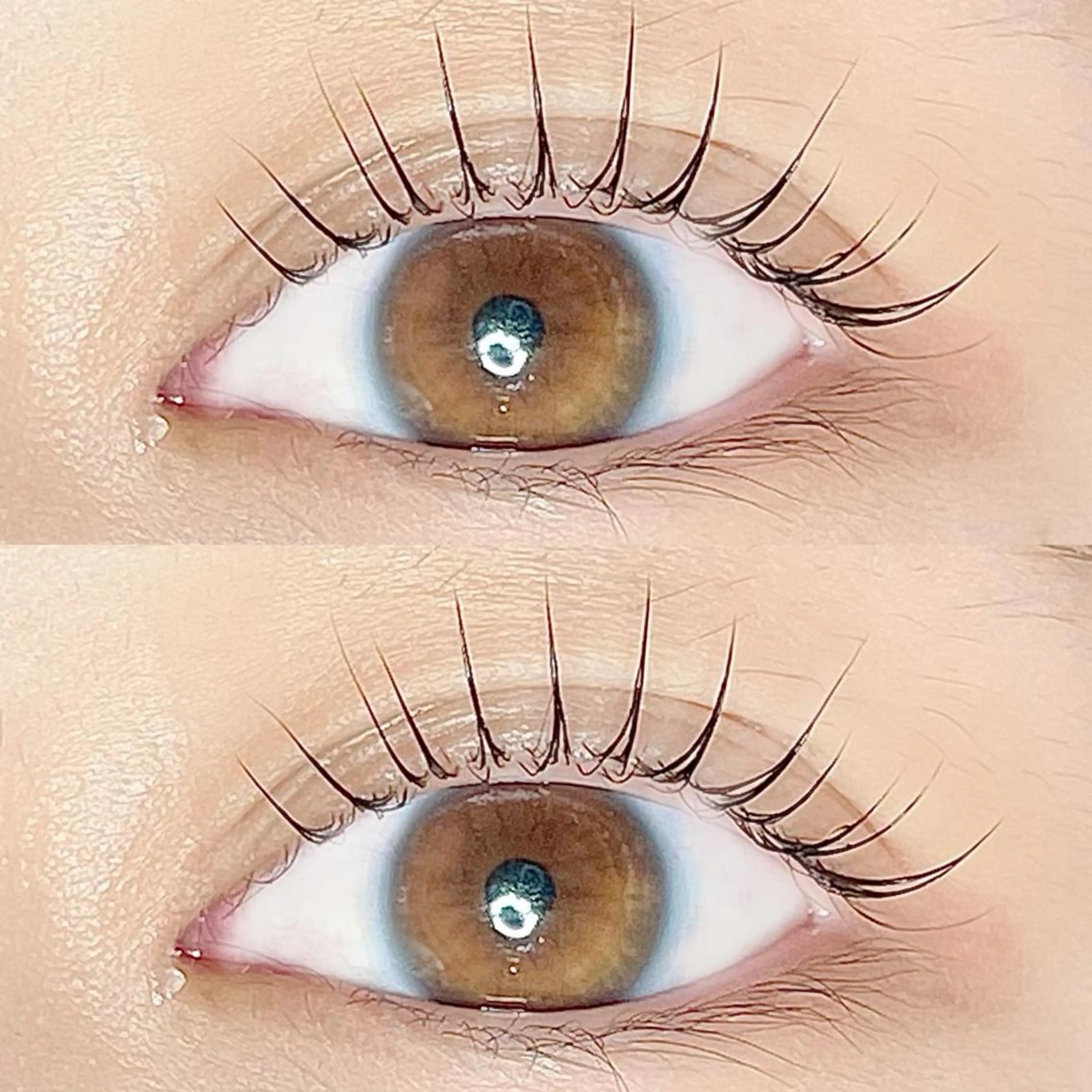 マツエク・マツパ マツパ AYLASH🧡 猪又のマツエク・マツパデザイン