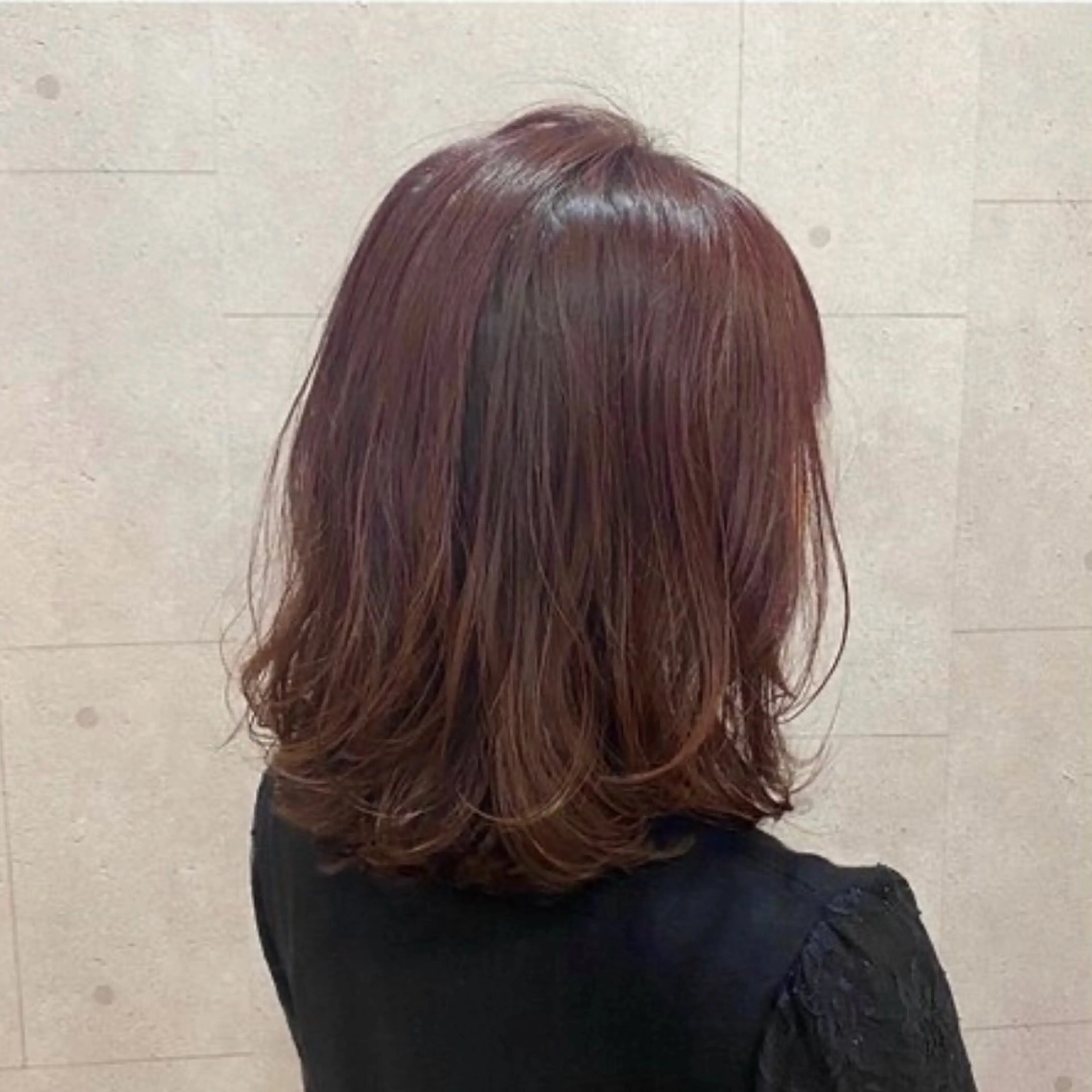 ✨️リピーター【🌷カラーモデル🌷】ワンカラー✨️の写真