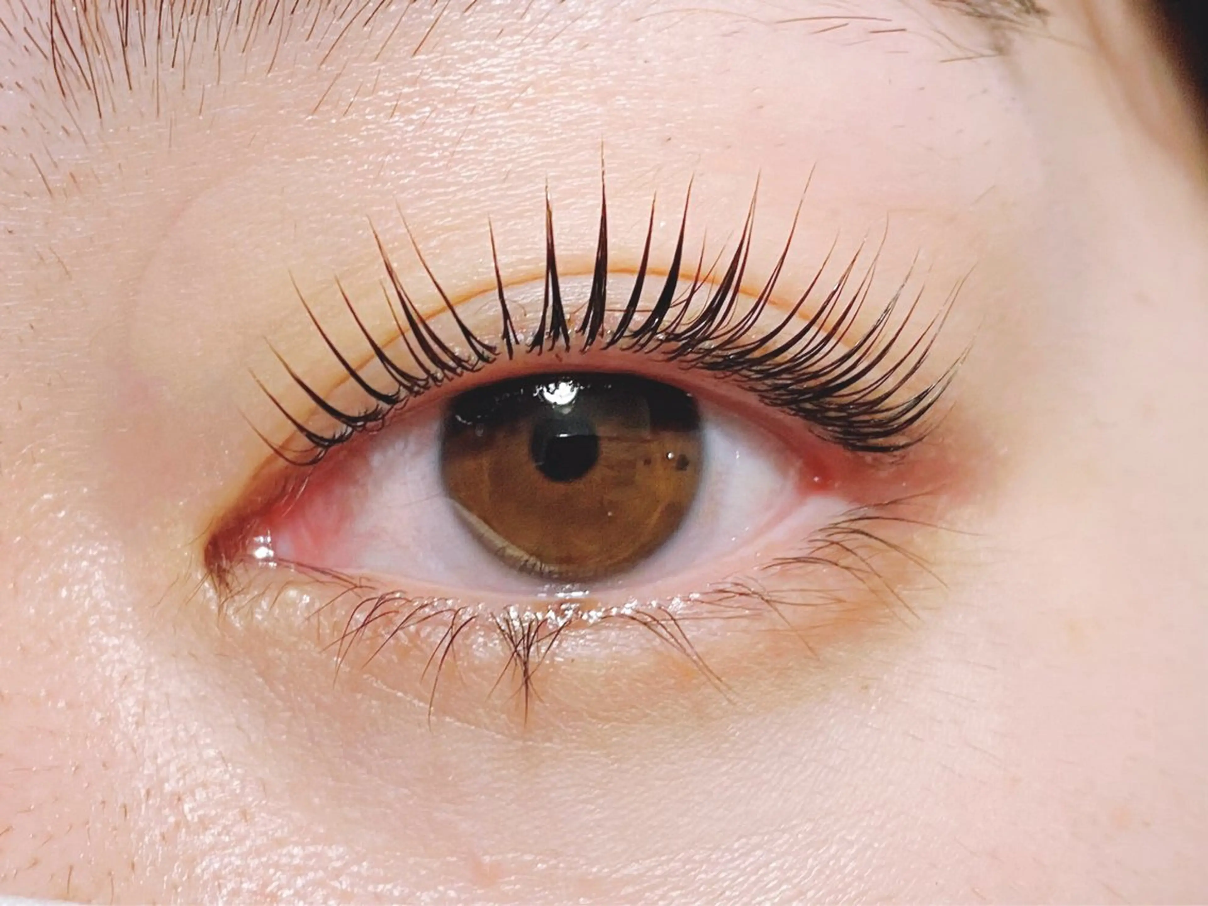 【ミニモ限定価格✨】パリジェンヌラッシュリフト上／コーティング仕上げ6300→5000の写真