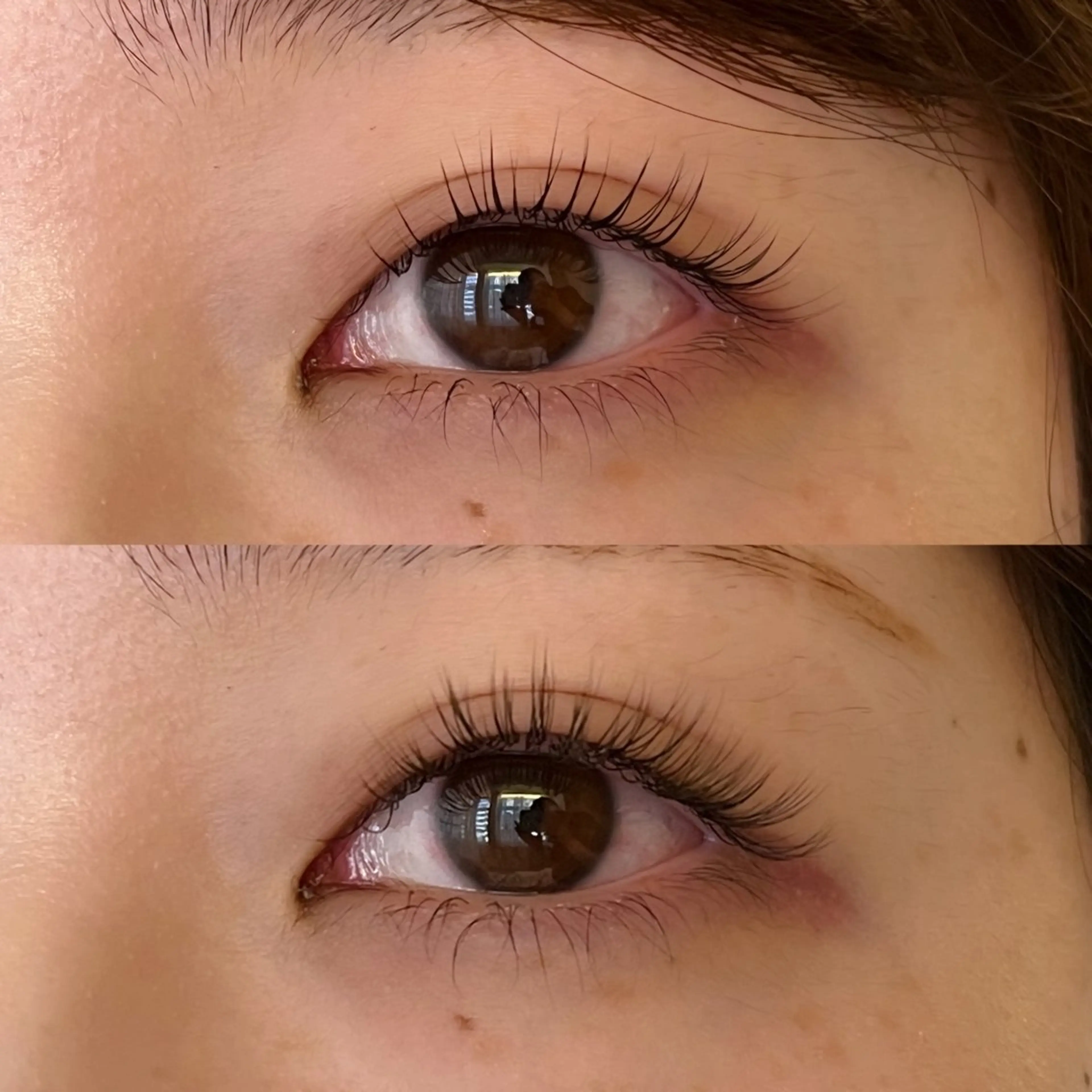 マツエク・マツパ マツエク Embellir/ "Aine"🕊のマツエク・マツパデザイン