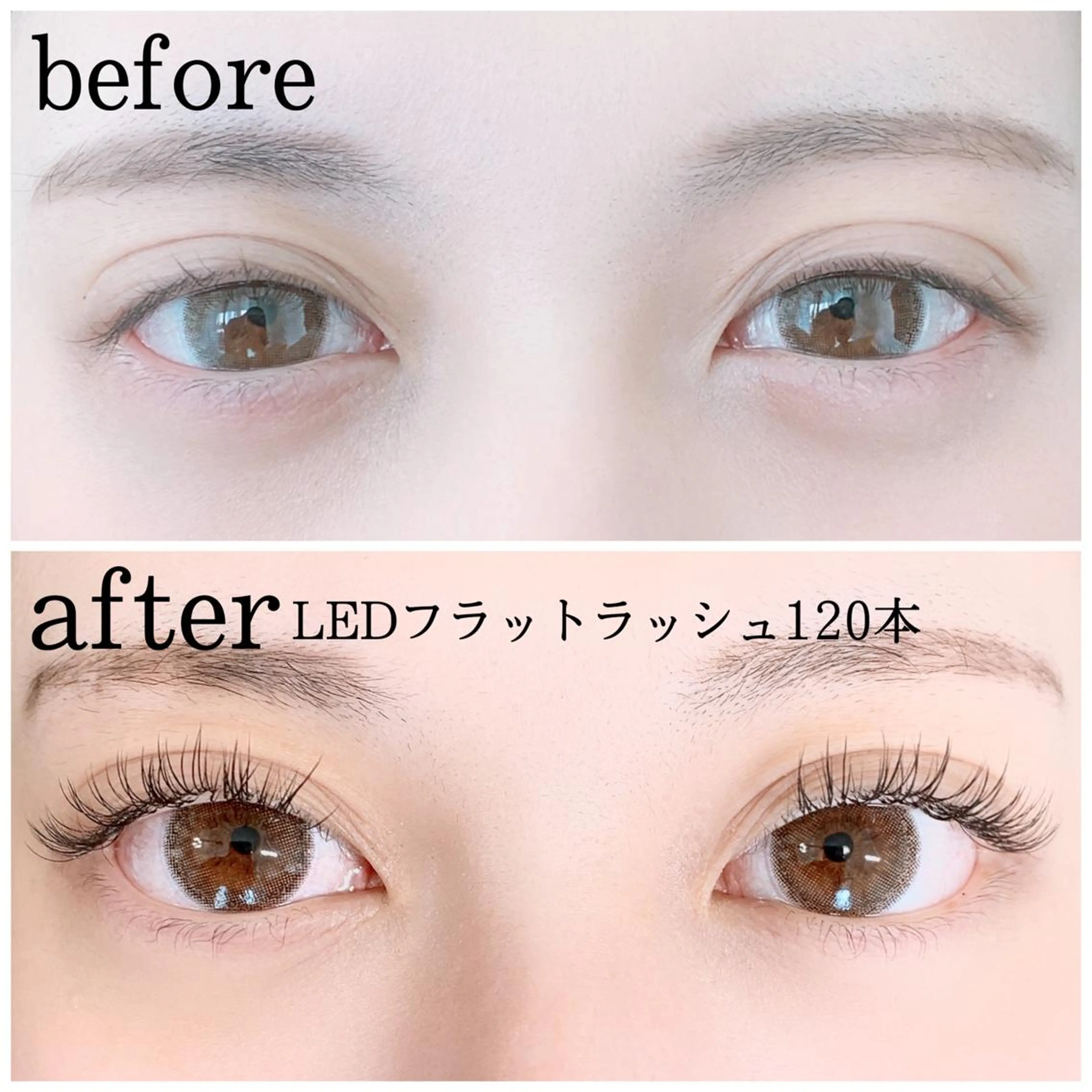 人気No.3  LEDextension  超持続フラットラッシュ🦋シングル120本の写真