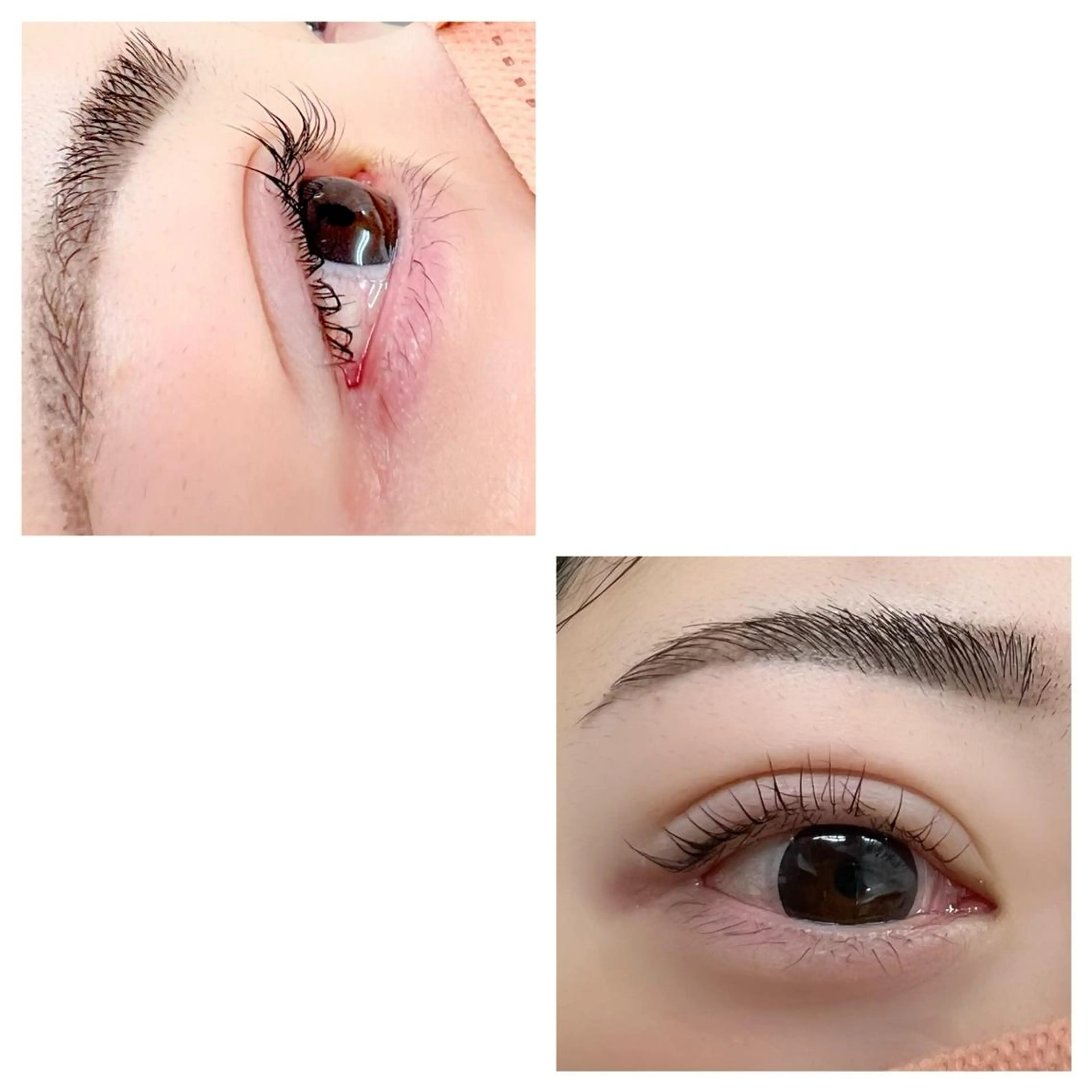 マツエク・マツパ まつ毛エクステ専門店WIKIRA所属・WIKIRA 押上 さくらばのマツエク・マツパデザイン