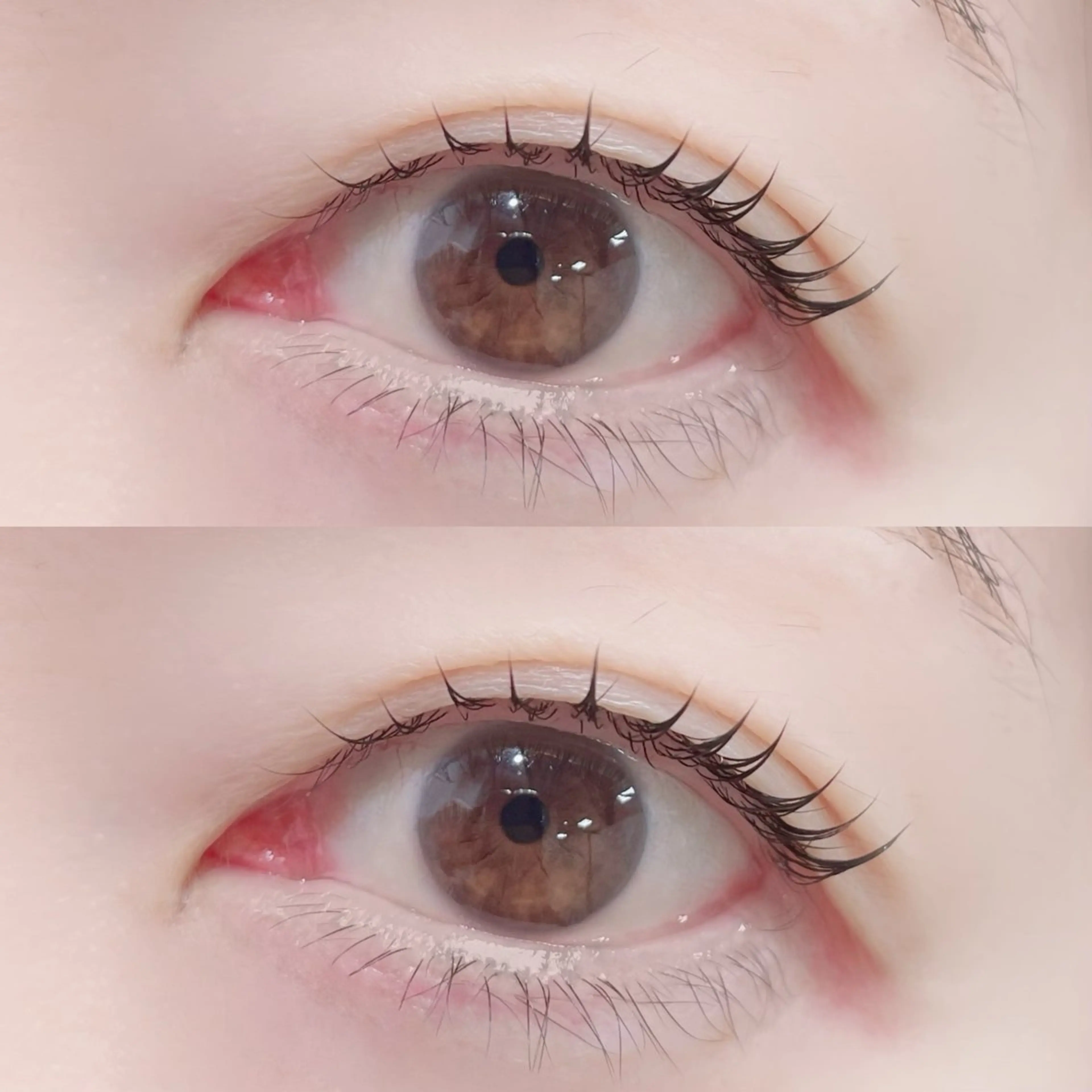 マツエク・マツパ マツパ 🏵️tico@ Risa🏵️のヘアスタイル