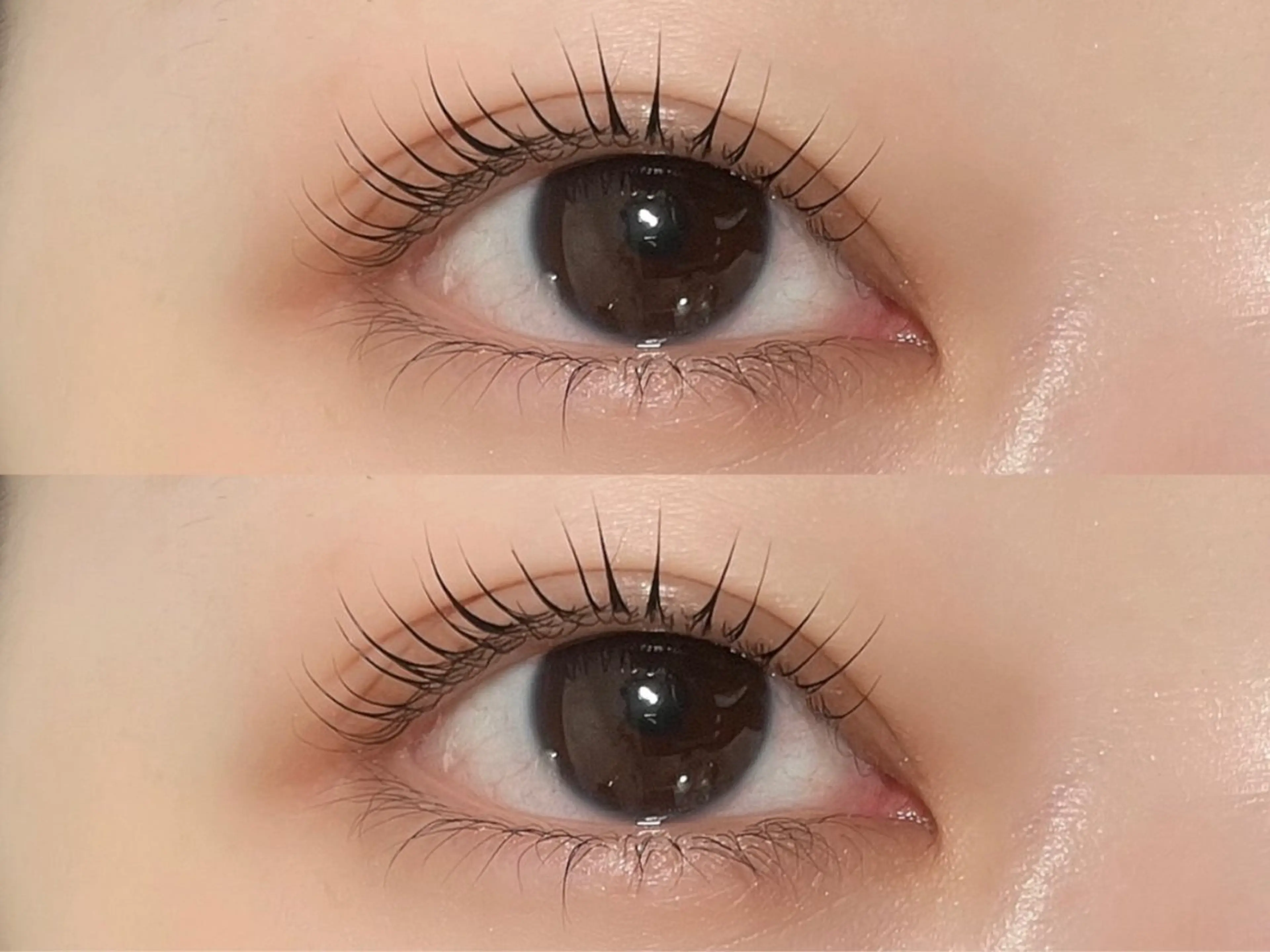 マツエク・マツパ 🪞🩰くるり上野店 對馬🩰🪞のマツエク・マツパデザイン