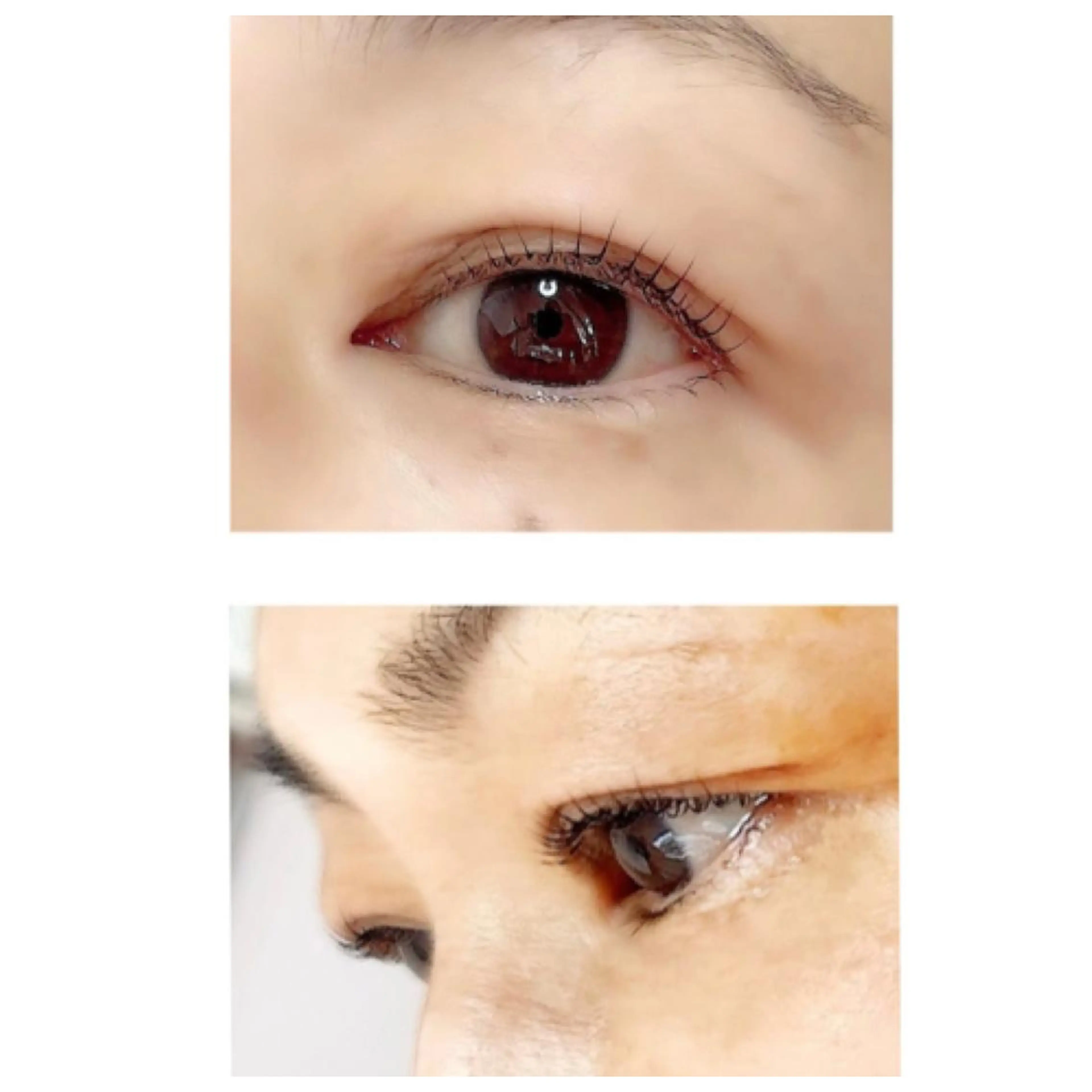 マツエク・マツパ マツパ Tendre Rêveのマツエク・マツパデザイン