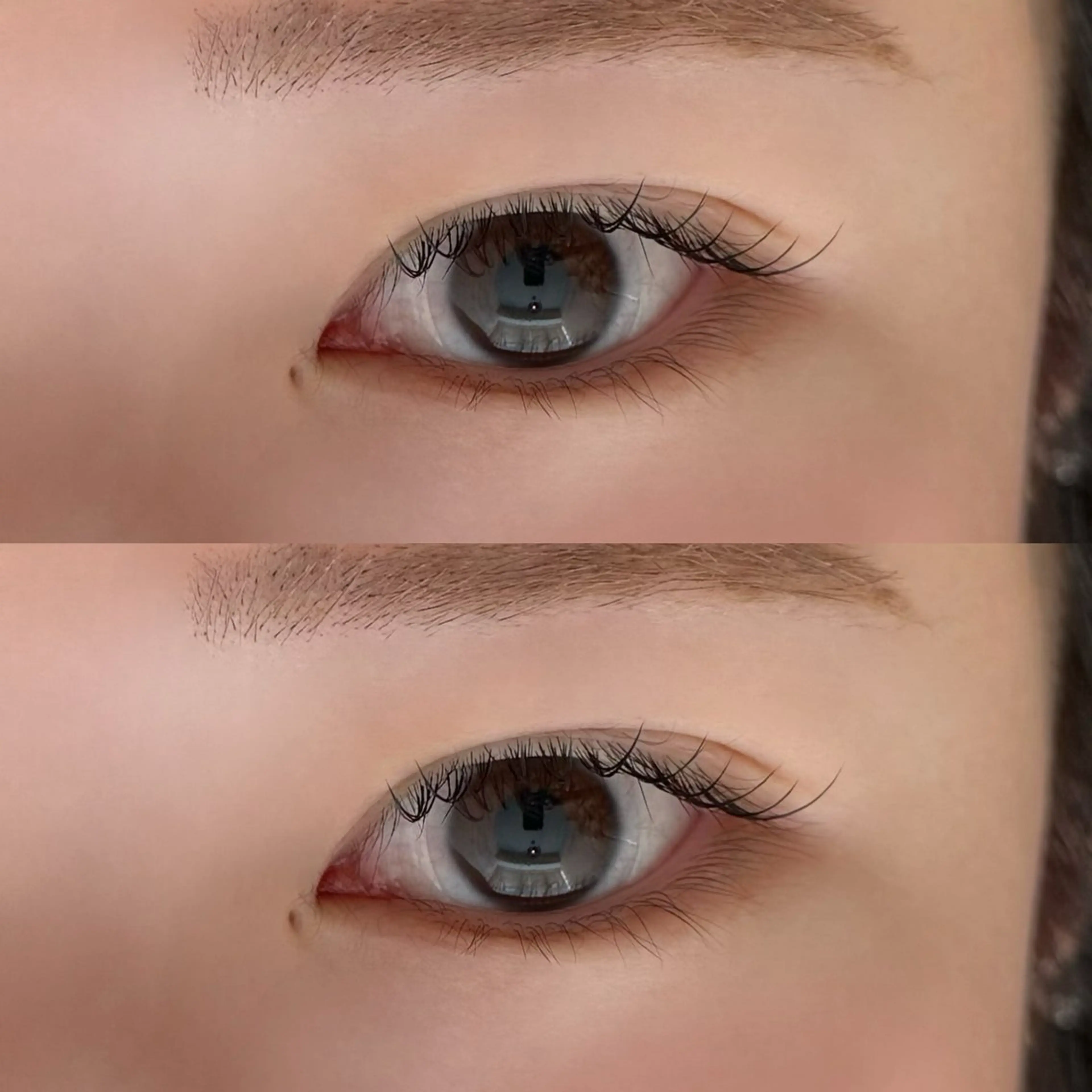 マツエク・マツパ 🐾ROAR🐾 HAZUKIのマツエク・マツパデザイン