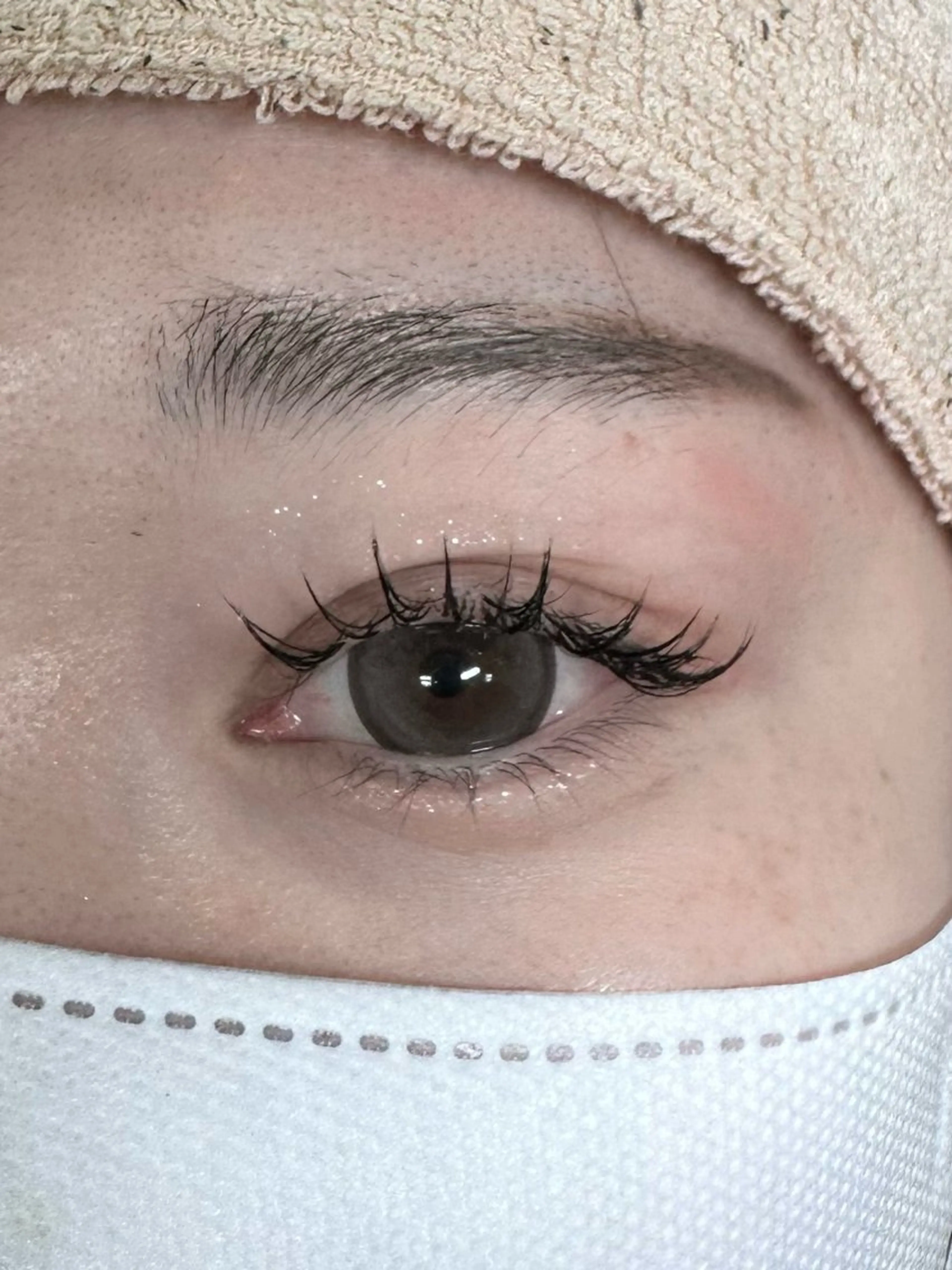 ジュニアアイリスト価格⭐︎シルク上のみ100​〜​130本　　　オフなし　　　　11/22まで募集の写真