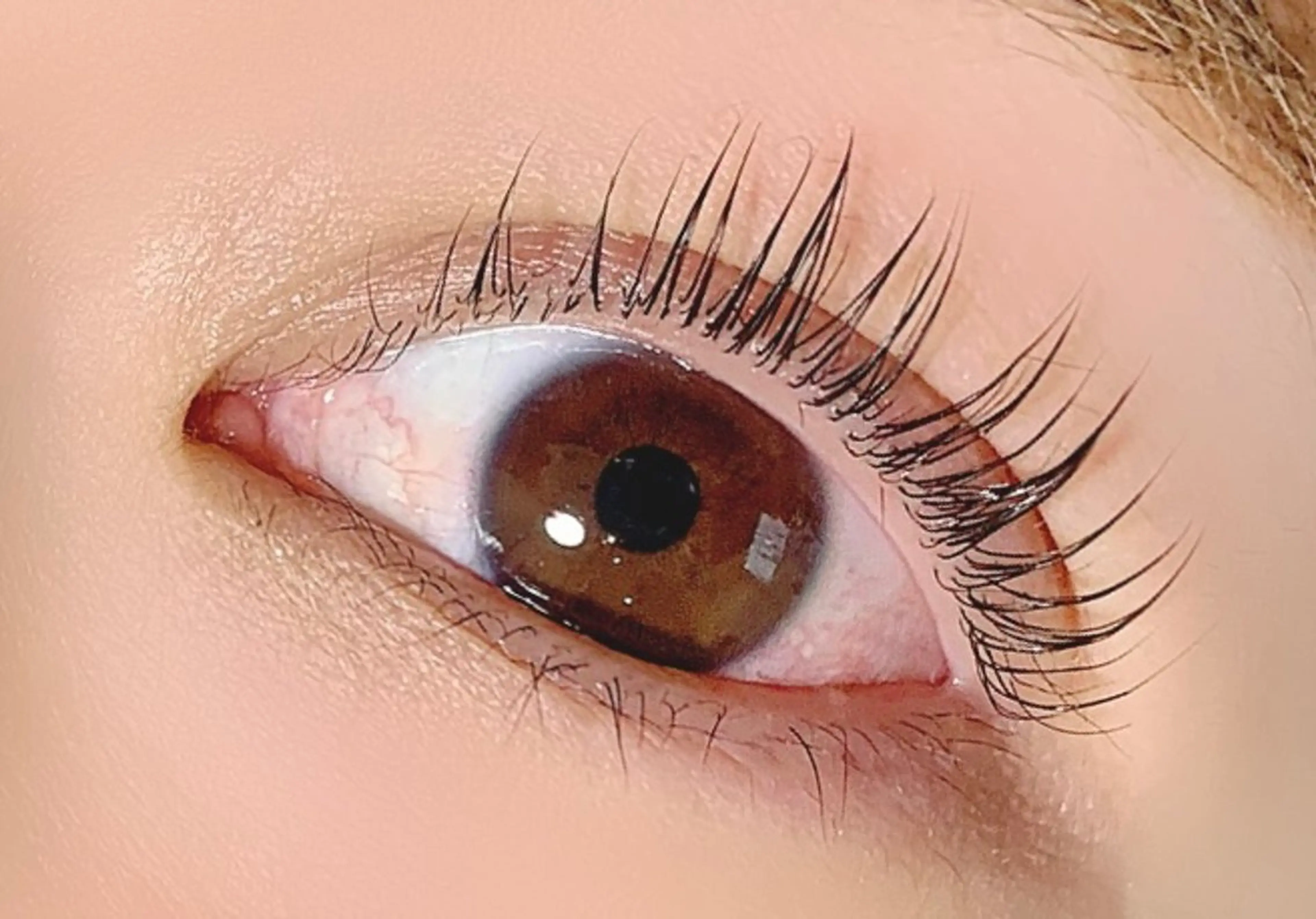 ロング カラー パーマ ヘアアレンジ メンズ キッズ ネイル マツエク・マツパ アイブロウ マツパ apopi's所属・真夜中のまつ毛 APOPI'Sのマツエク・マツパデザイン