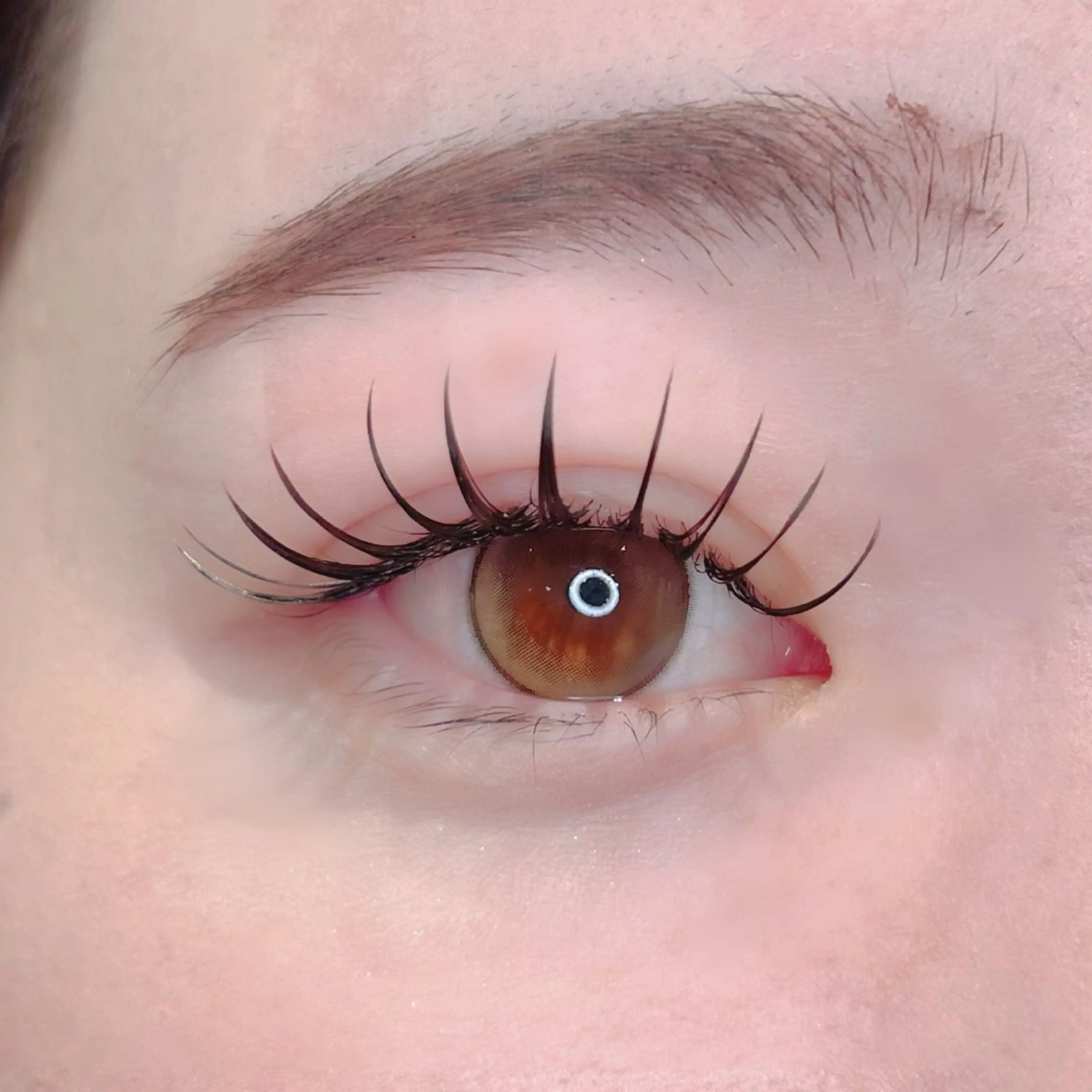 次世代パリエク⭐️&healthy+フラットラッシュ100本の写真