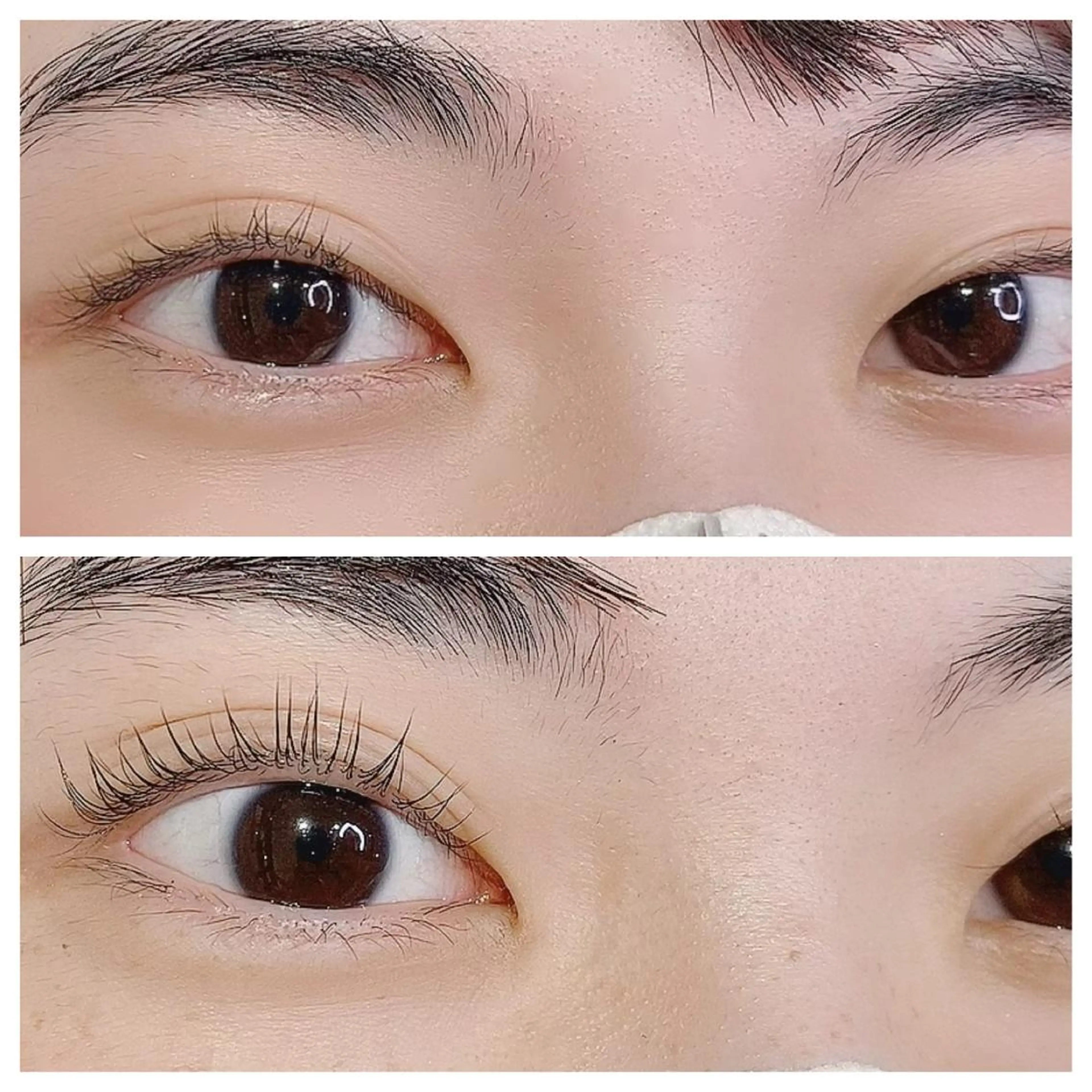 マツエク・マツパ パリジェンヌラッシュリフト Aina Nail＆Eyelash 秋葉原店所属・藤田 小綺のマツエク・マツパデザイン