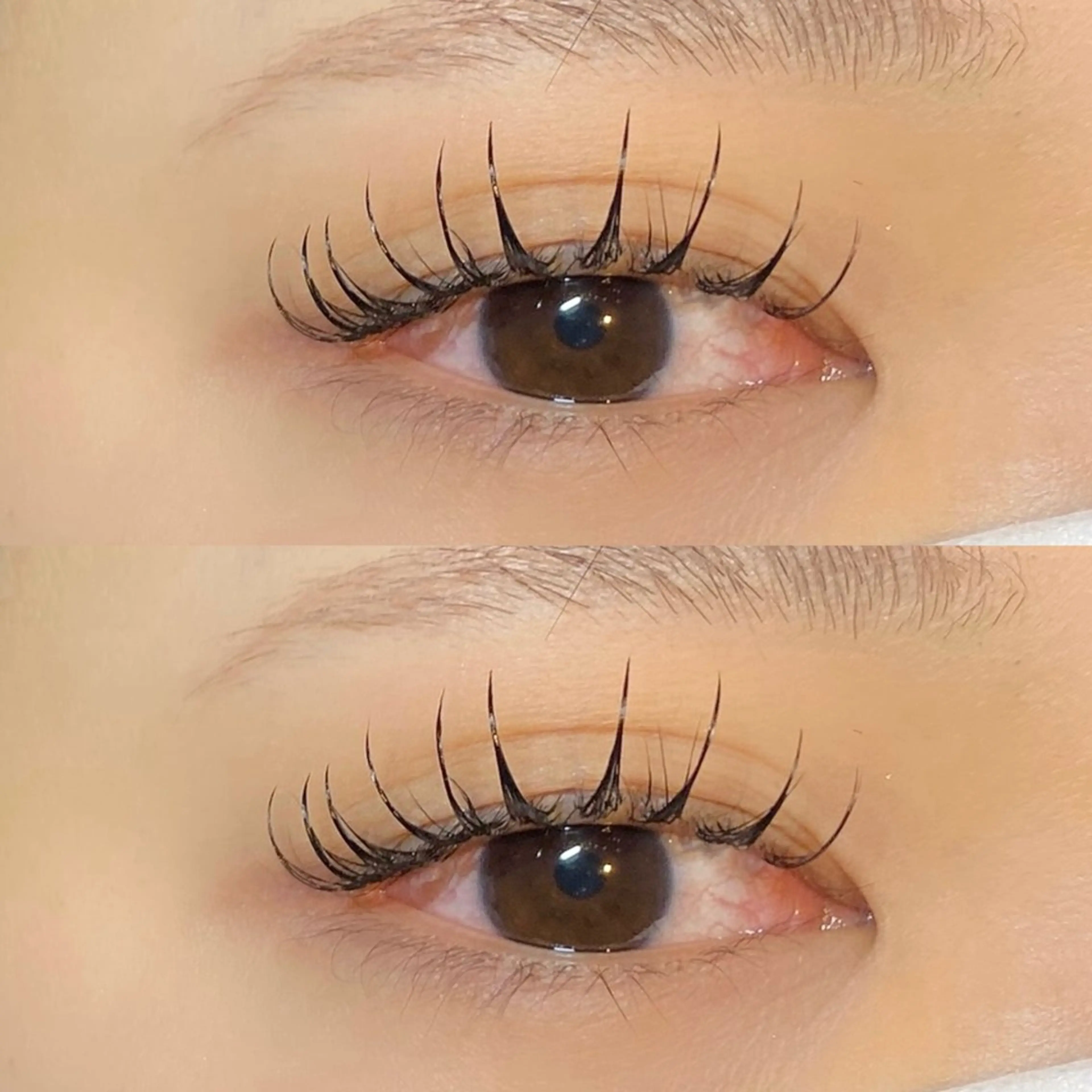 パリエク✨(パリジェンヌ+フラットラッシュ120本)の写真