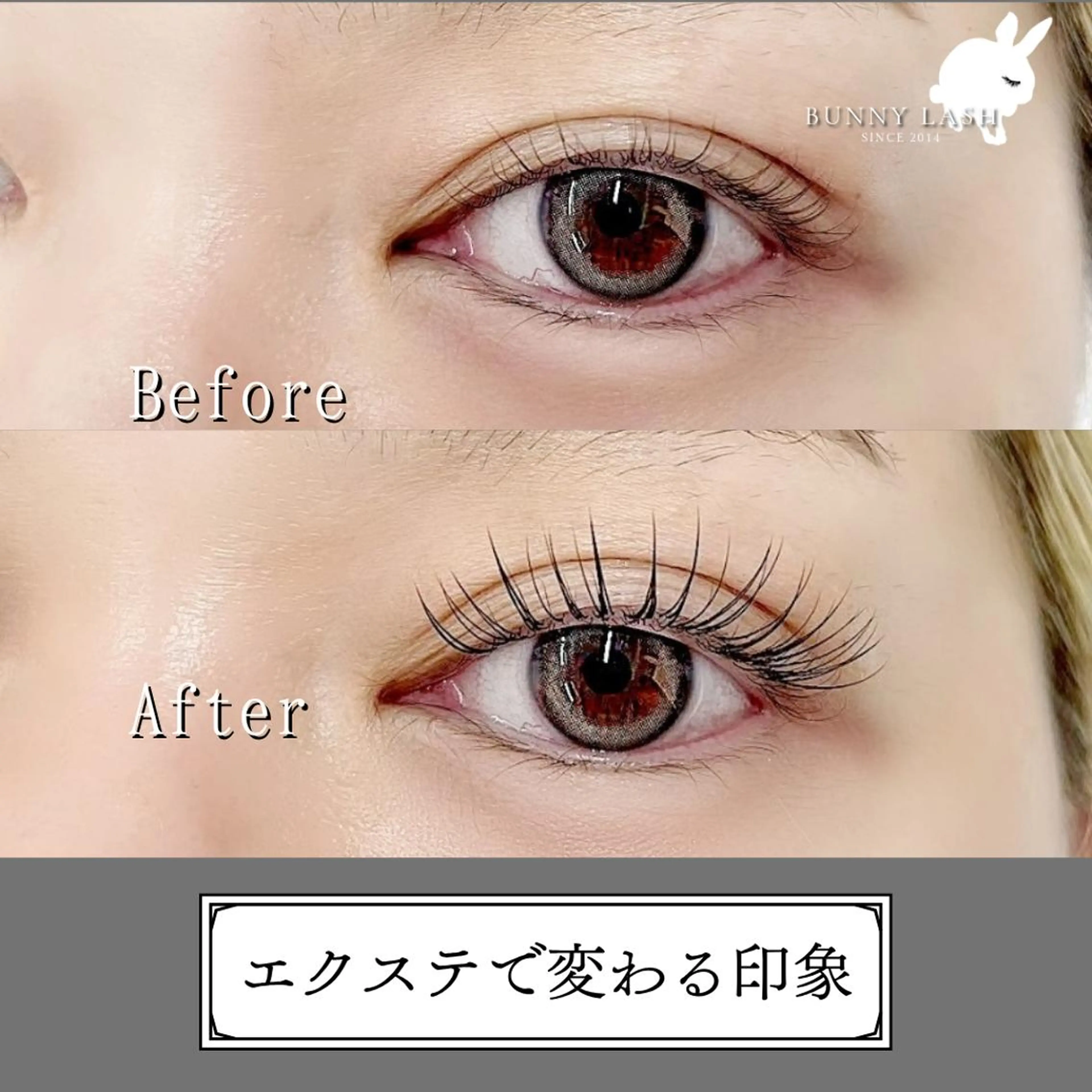 マツエク・マツパ バインドロック 束感まつ毛 フラットラッシュ パリジェンヌラッシュリフト まつげパーマ バニーラッシュ津田沼 /マツエク🫧マツパのマツエク・マツパデザイン