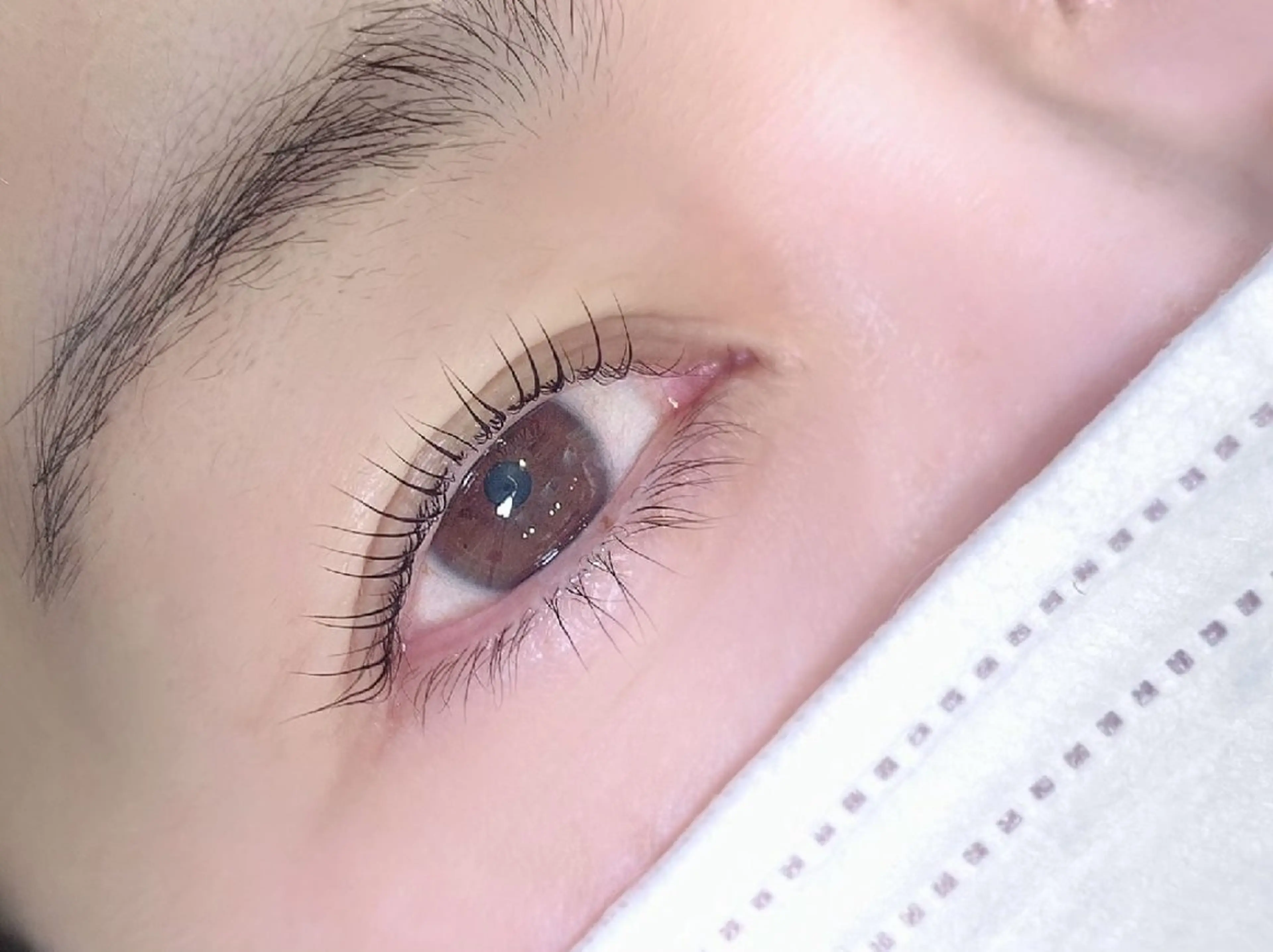 【ミニモ限定】パリジェンヌラッシュリフトの写真