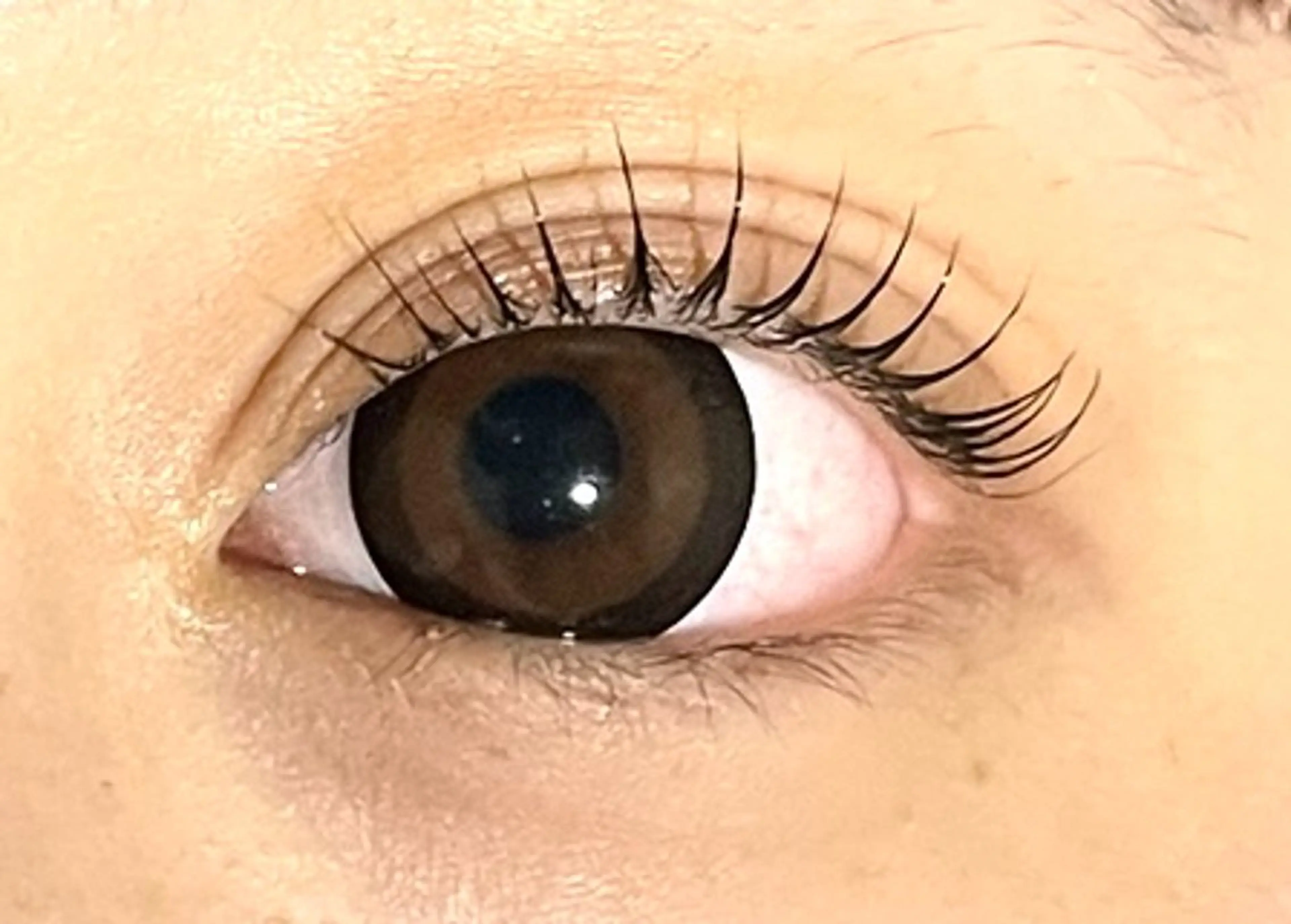 マツエク・マツパ 山本joieange 心斎橋店のマツエク・マツパデザイン