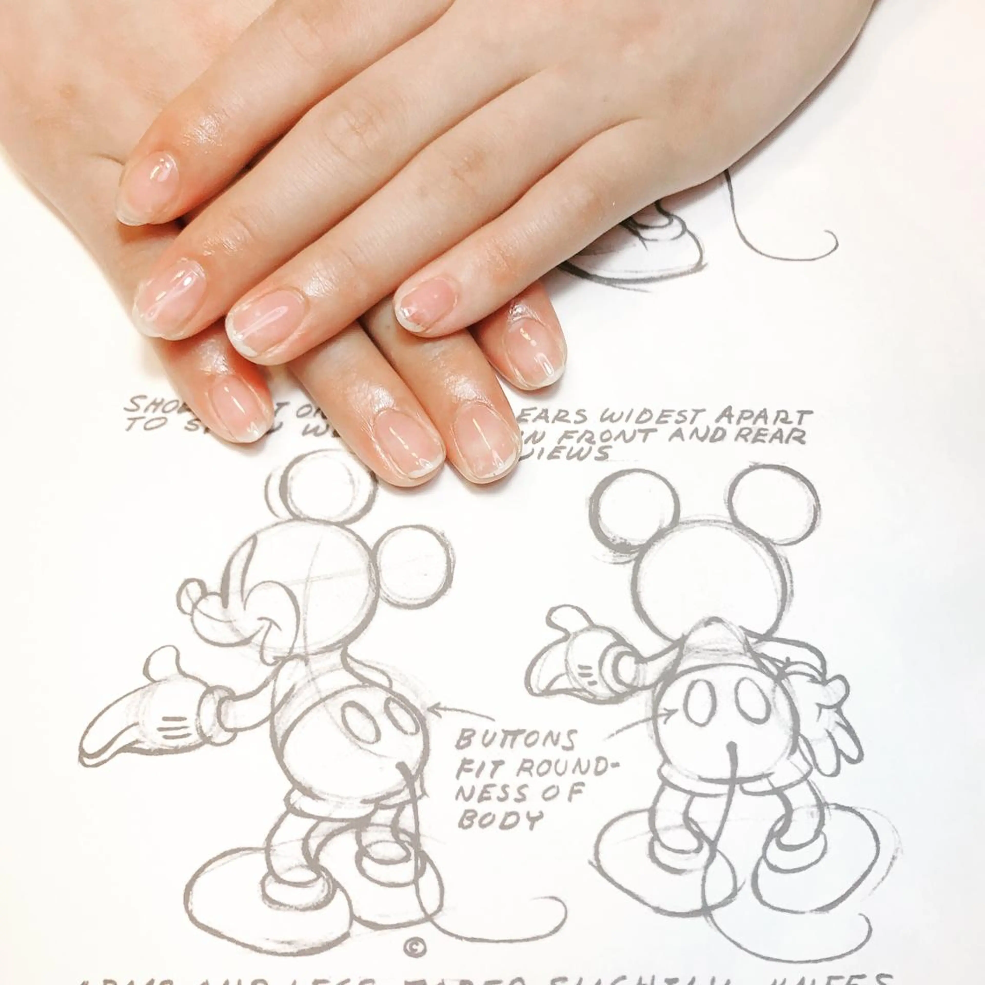 ネイル クリアネイル owlnail /持込みデザイン専門のネイルデザイン