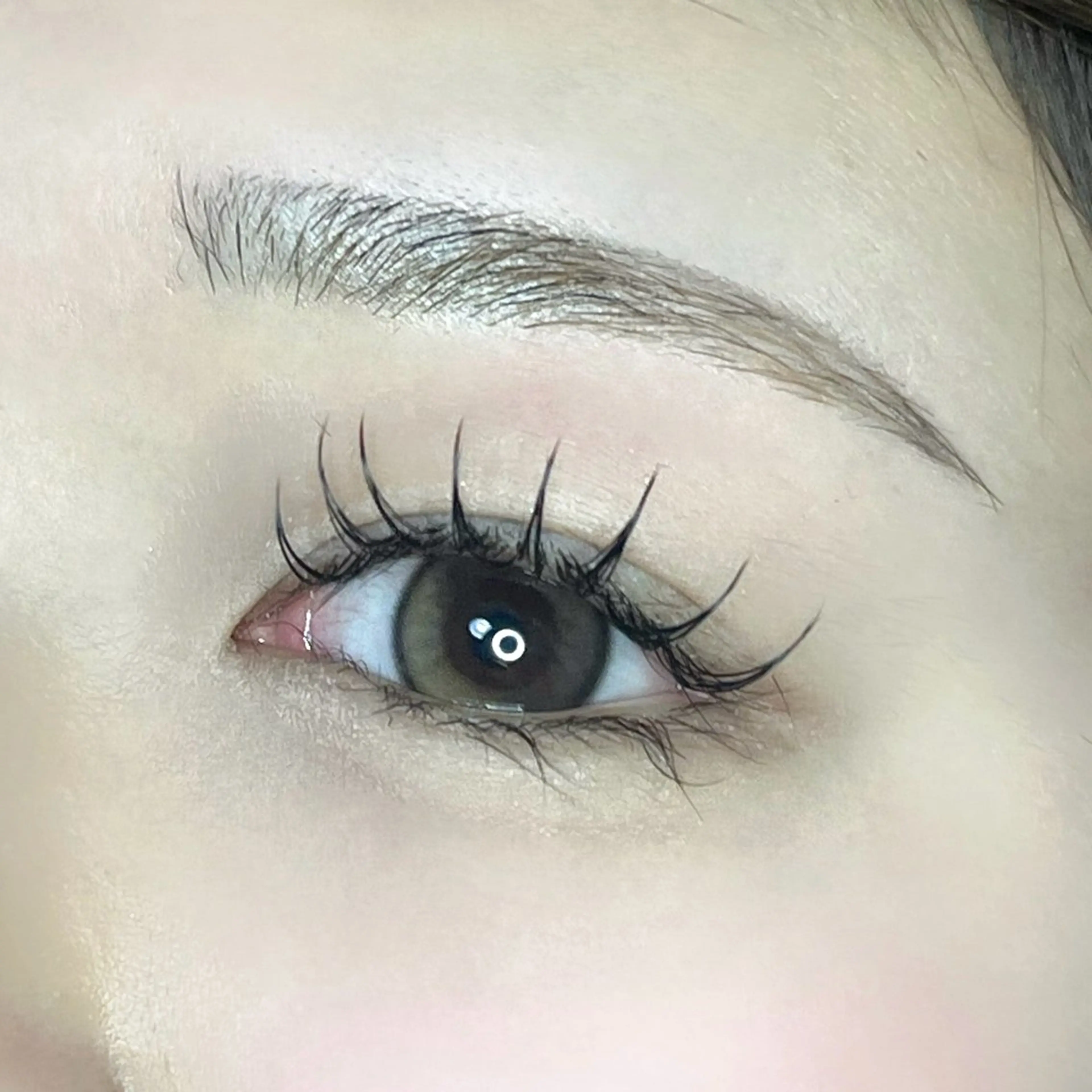 【練習モデル】フラットラッシュ　シングル100本（オフあり🙆‍♀️）の写真