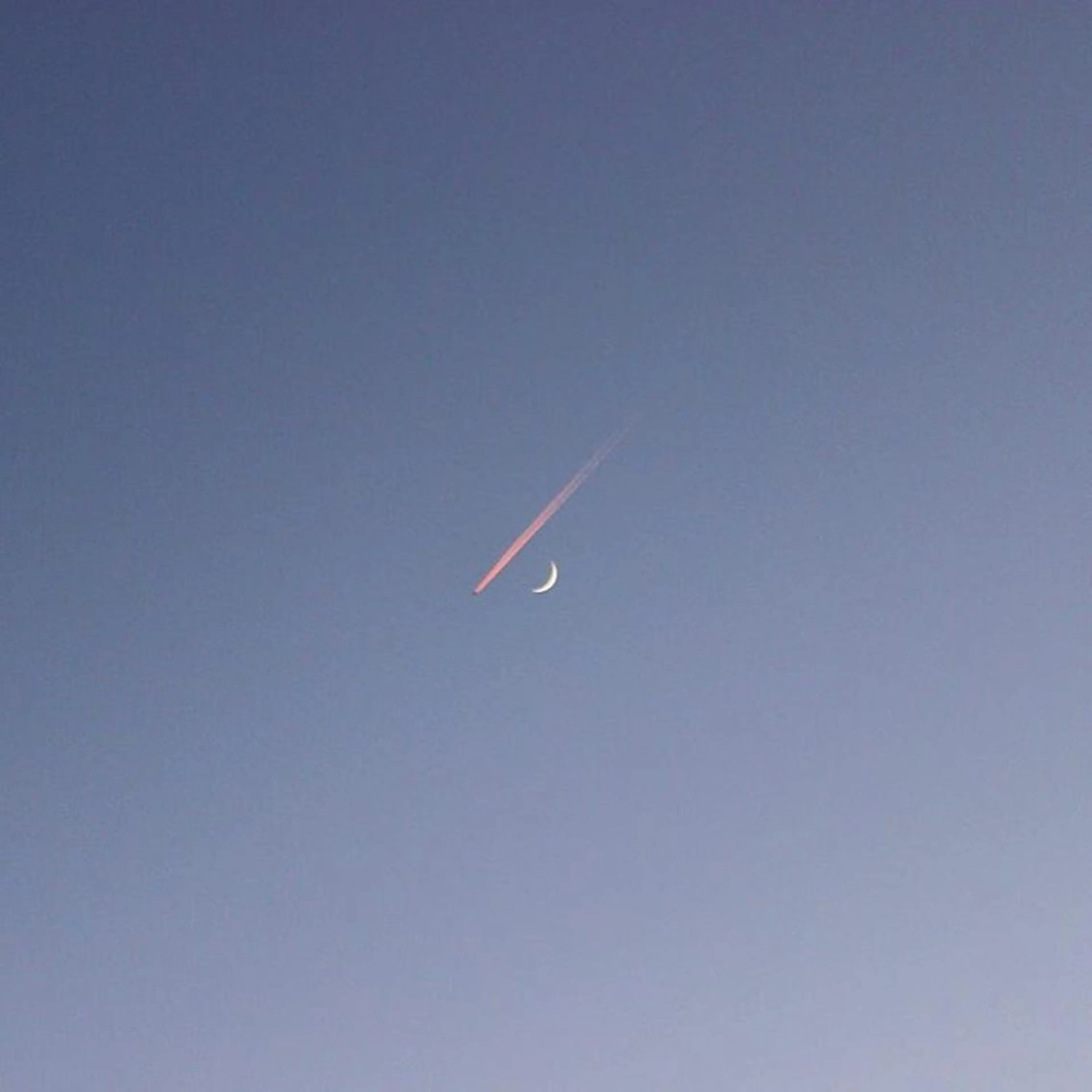 ∴Sanae. ∴ トータルビューティーのネイルデザイン