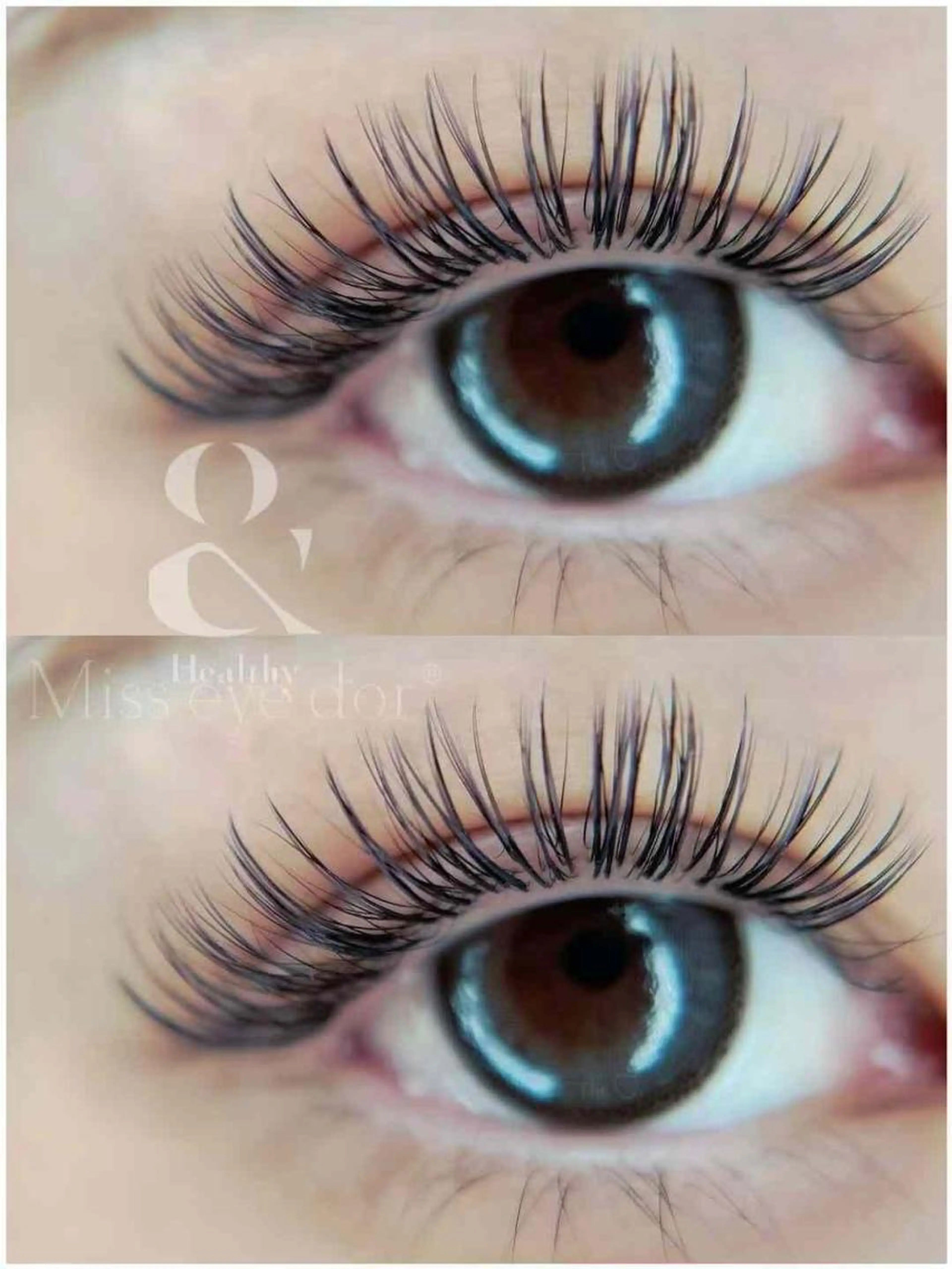 ❣️最新技術&𝐡𝐞𝐚𝐥𝐭𝐡𝐲✖️𝐁𝐢𝐧𝐝𝐥𝐨𝐜𝐤80束🌸✨LED+1000の写真