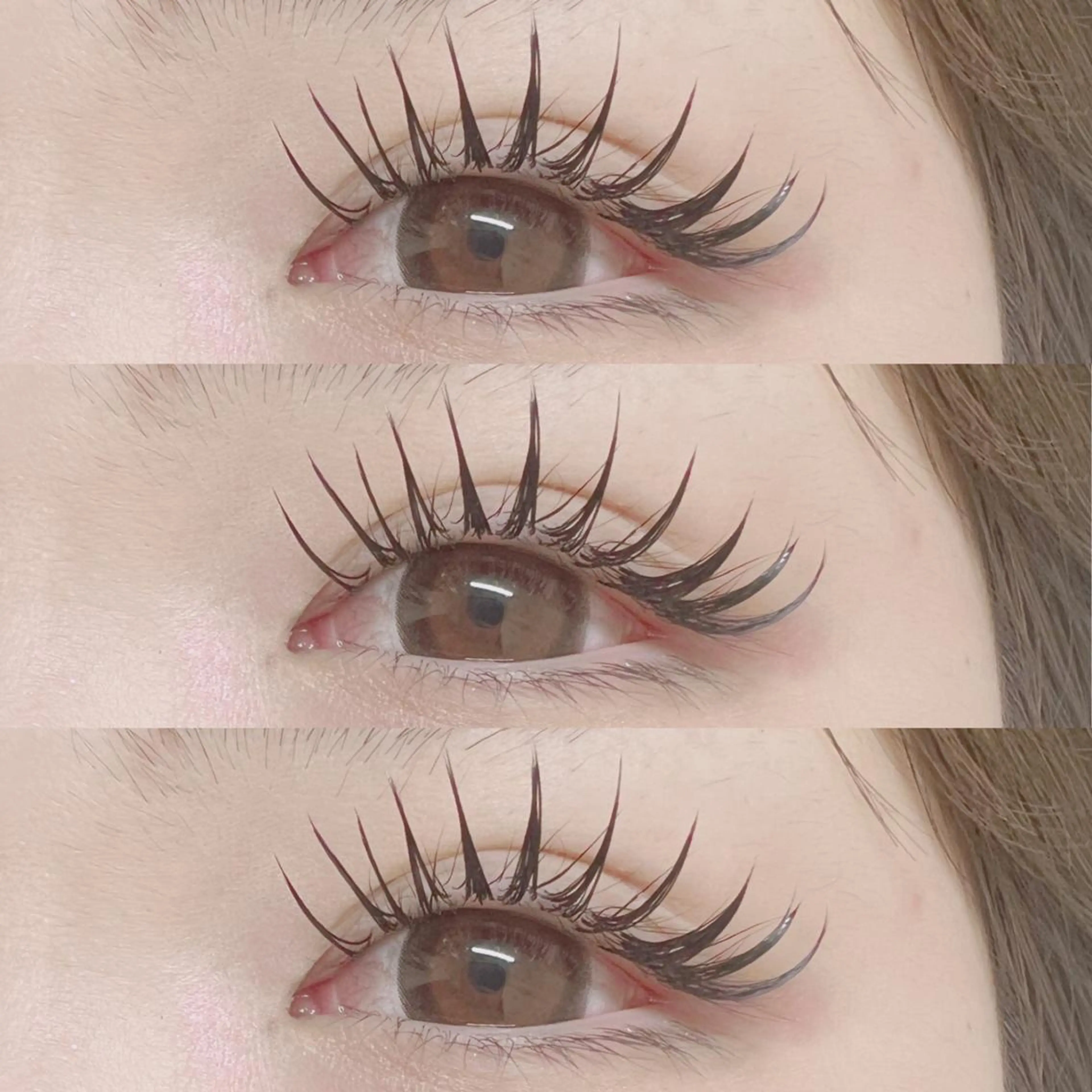 オフ無料🌼バインドロック140束/コーティング付の写真