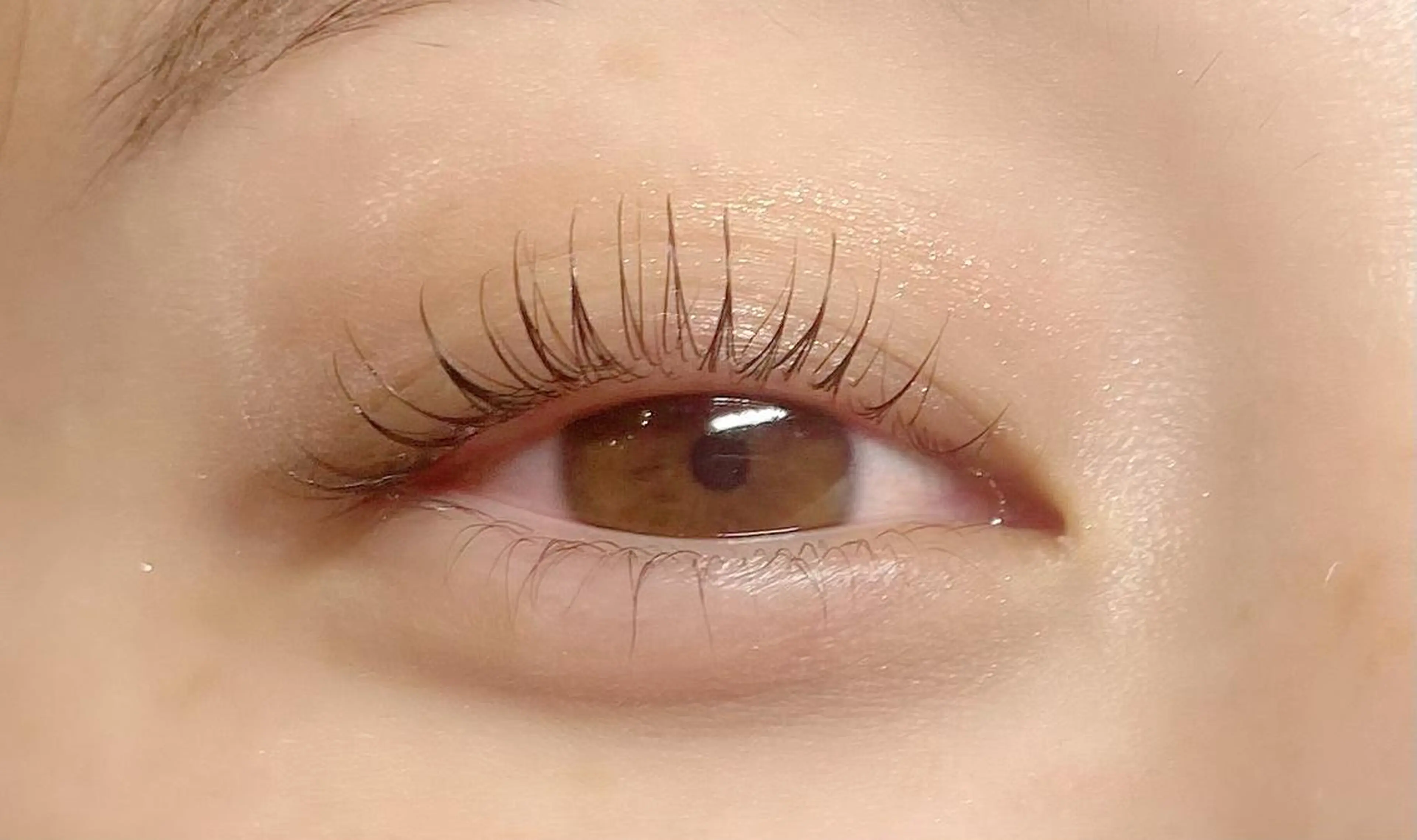 マツエク・マツパ CITRON ⭐︎のマツエク・マツパデザイン